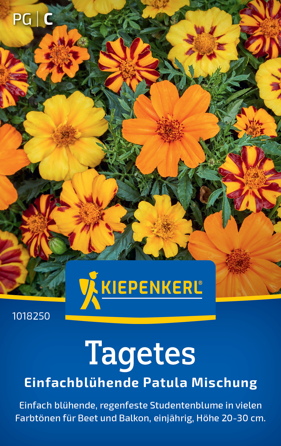 Tagetes Einfachblühende Patula Mischung