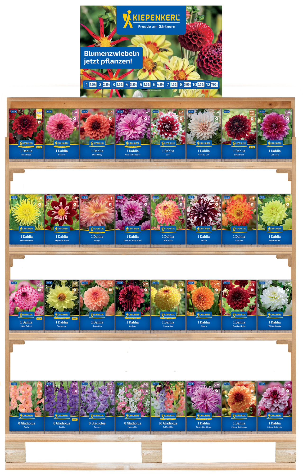 2026 - Frühjahr - Kiepenkerl-Blumenzwiebeln 'Slowflower - Schnittblumen' im Euro-Regal