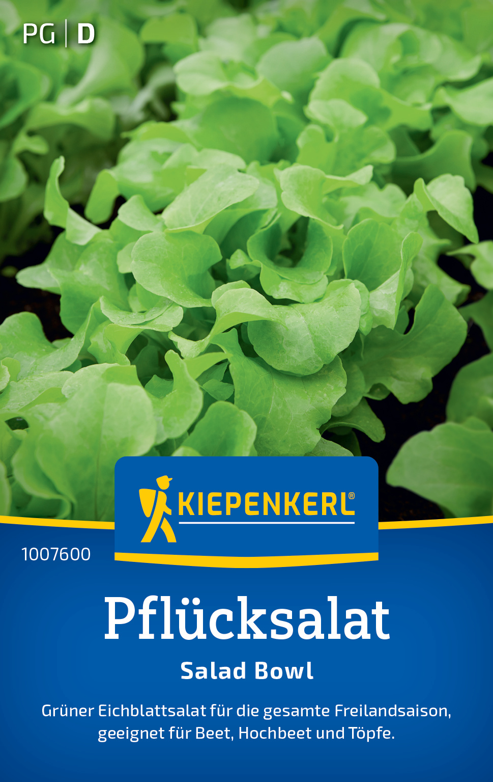 Pflücksalat Salad Bowl (Schnittsalat)