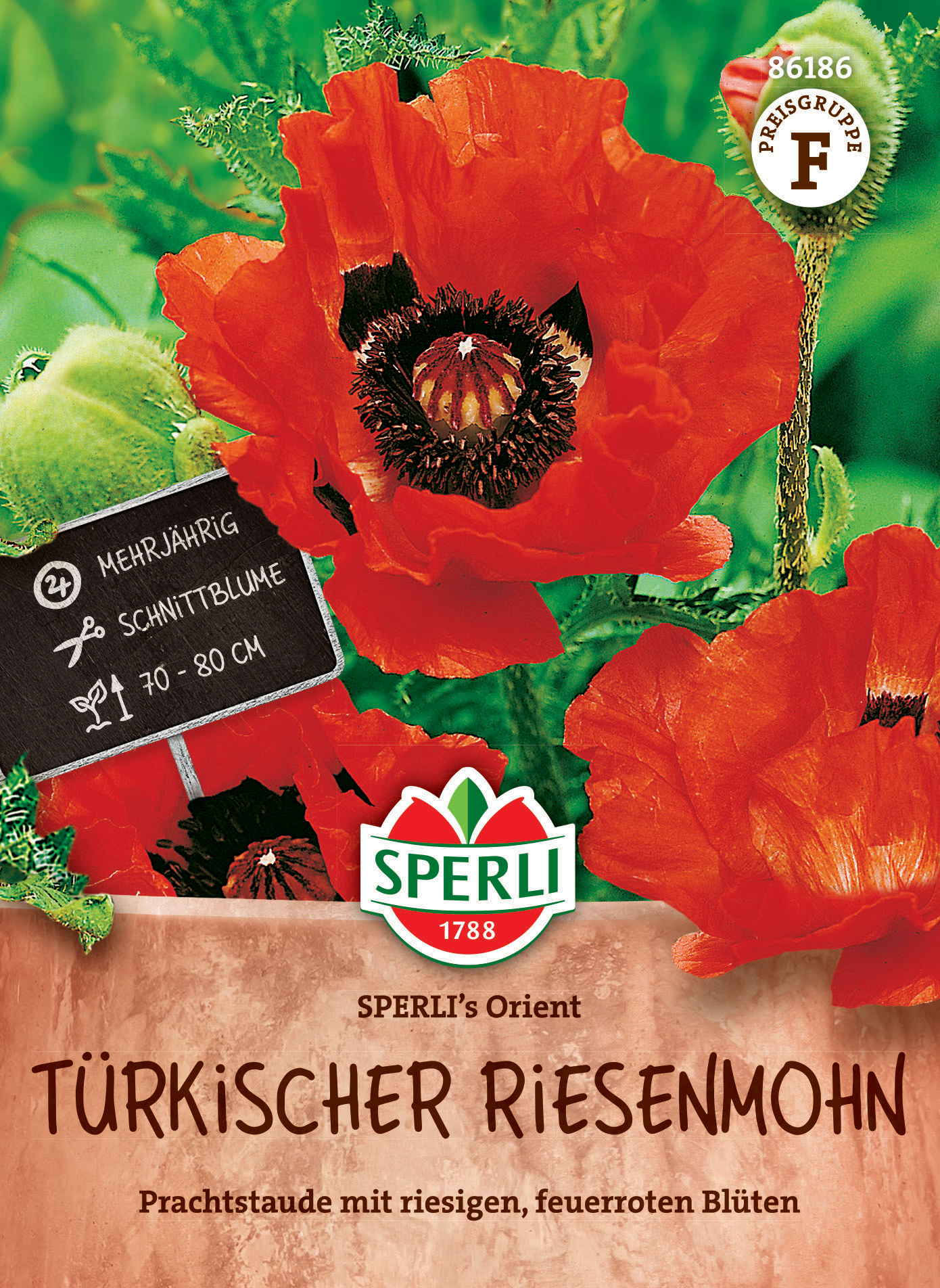 Türkischer Riesenmohn SPERLI's Orient Türkischer Riesenmohn SPERLI's Orient