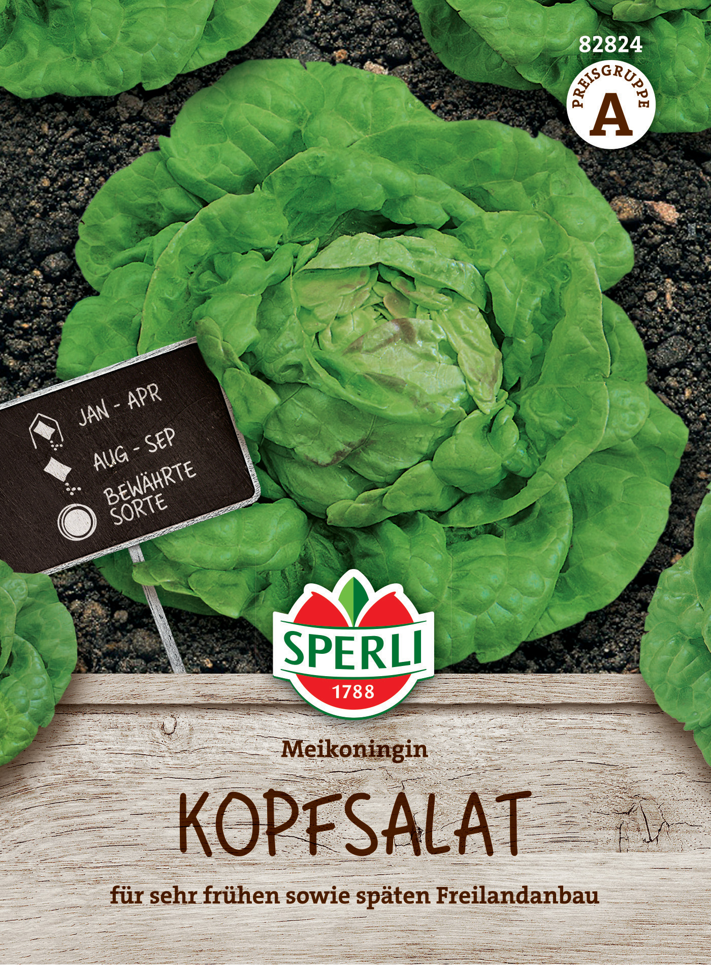 Kopfsalat Meikoningin Kopfsalat Meikoningin