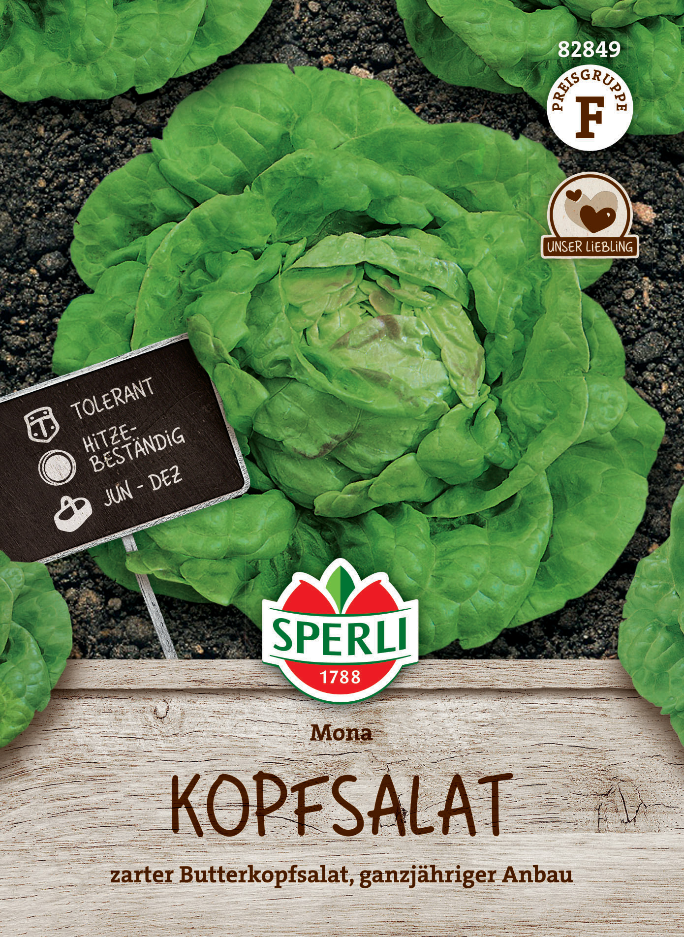Kopfsalat Mona Kopfsalat Mona
