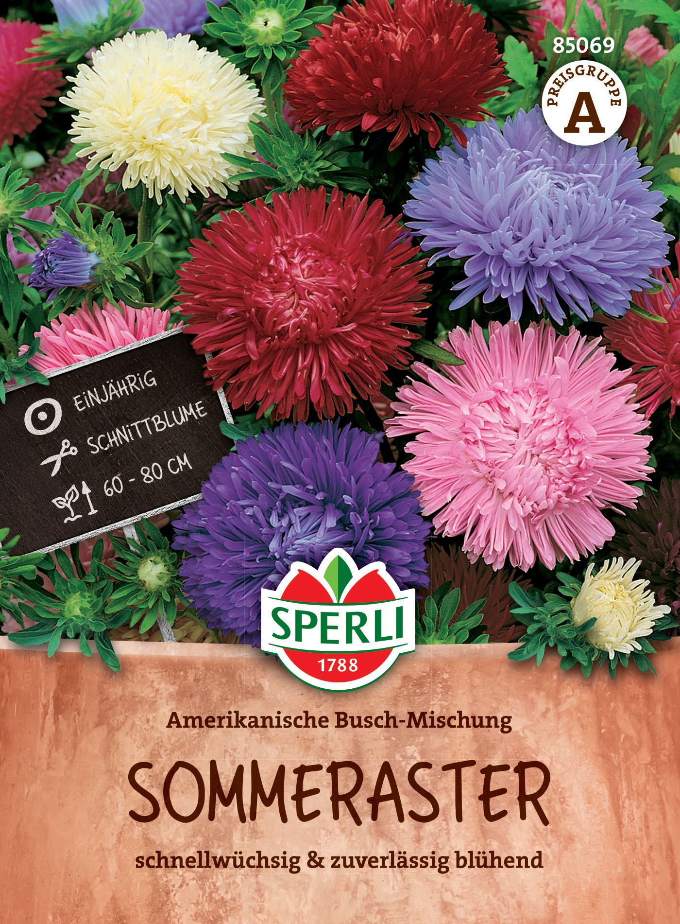 Sommeraster Amerikanische Busch-Mischung Sommeraster Amerikanische Busch-Mischung