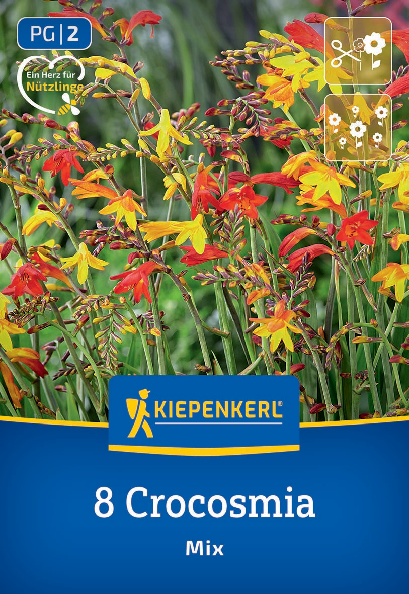 Crocosmia kleinblumige Mischung Crocosmia kleinblumige Mischung
