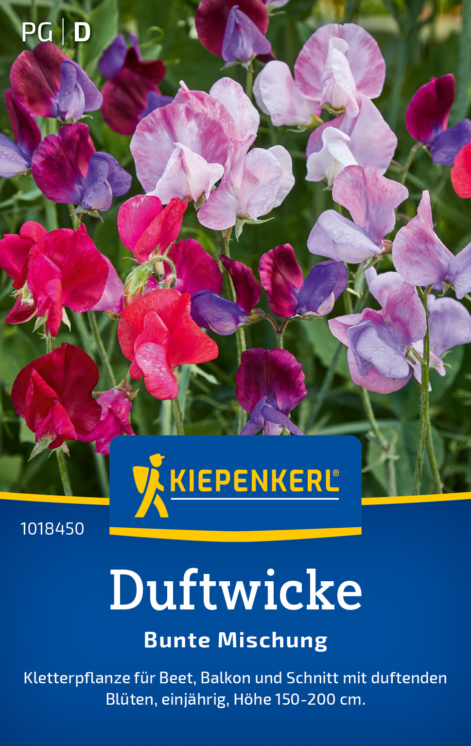 Duftwicke Bunte Mischung
