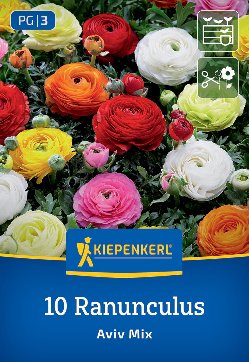 Ranunkelmischung Ranunkelmischung