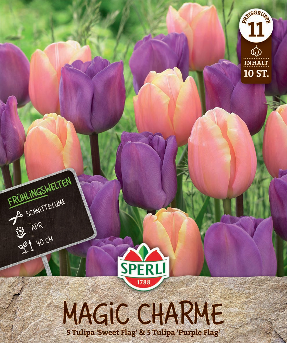 Frühlingsgarten Magic Charme