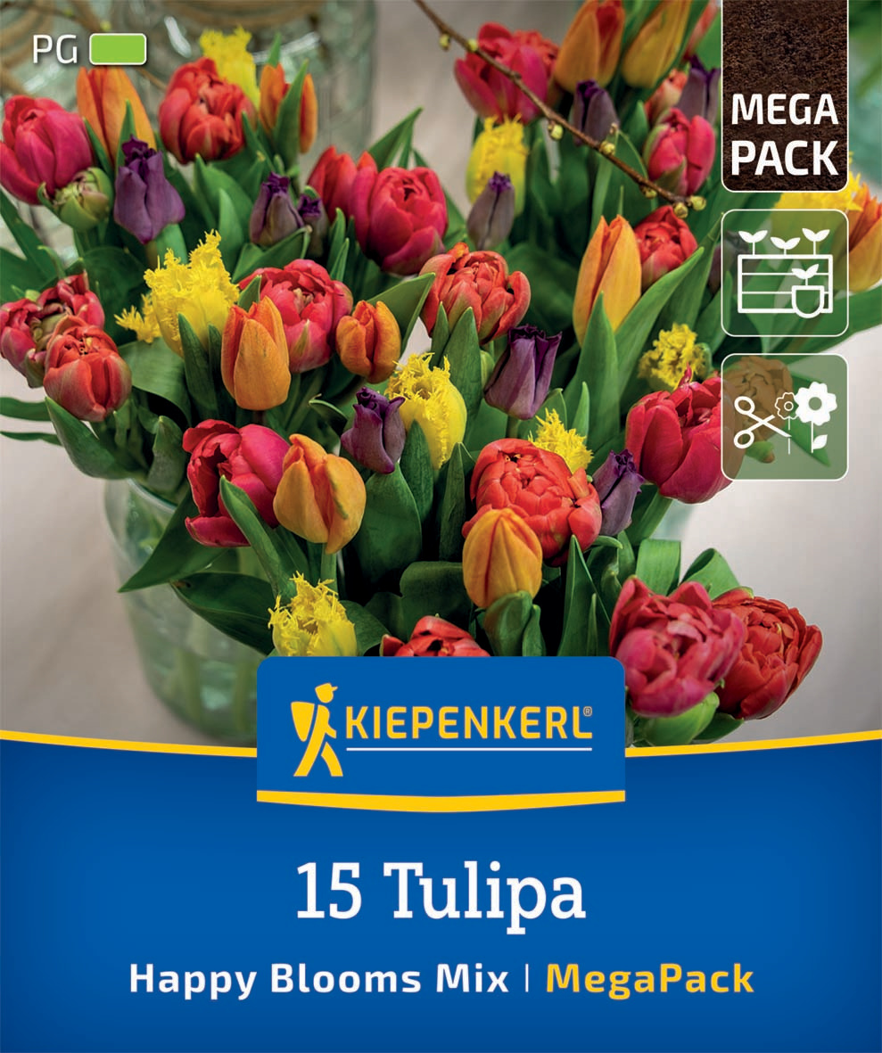 Mega Pack Happy Blooms