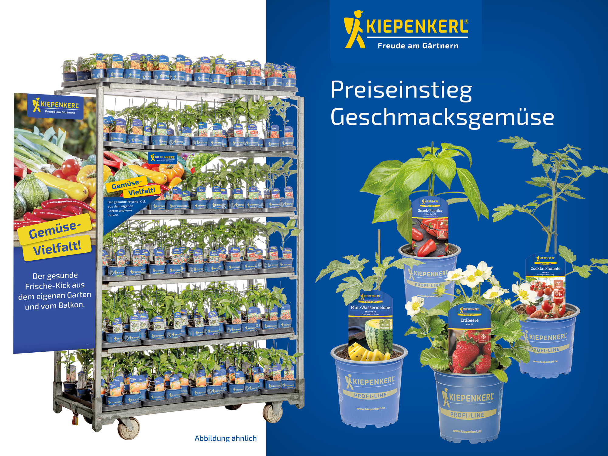 2026 - Frühjahr - ProfiLine Pflanzen - Preiseinstieg-Geschmacksgemüse