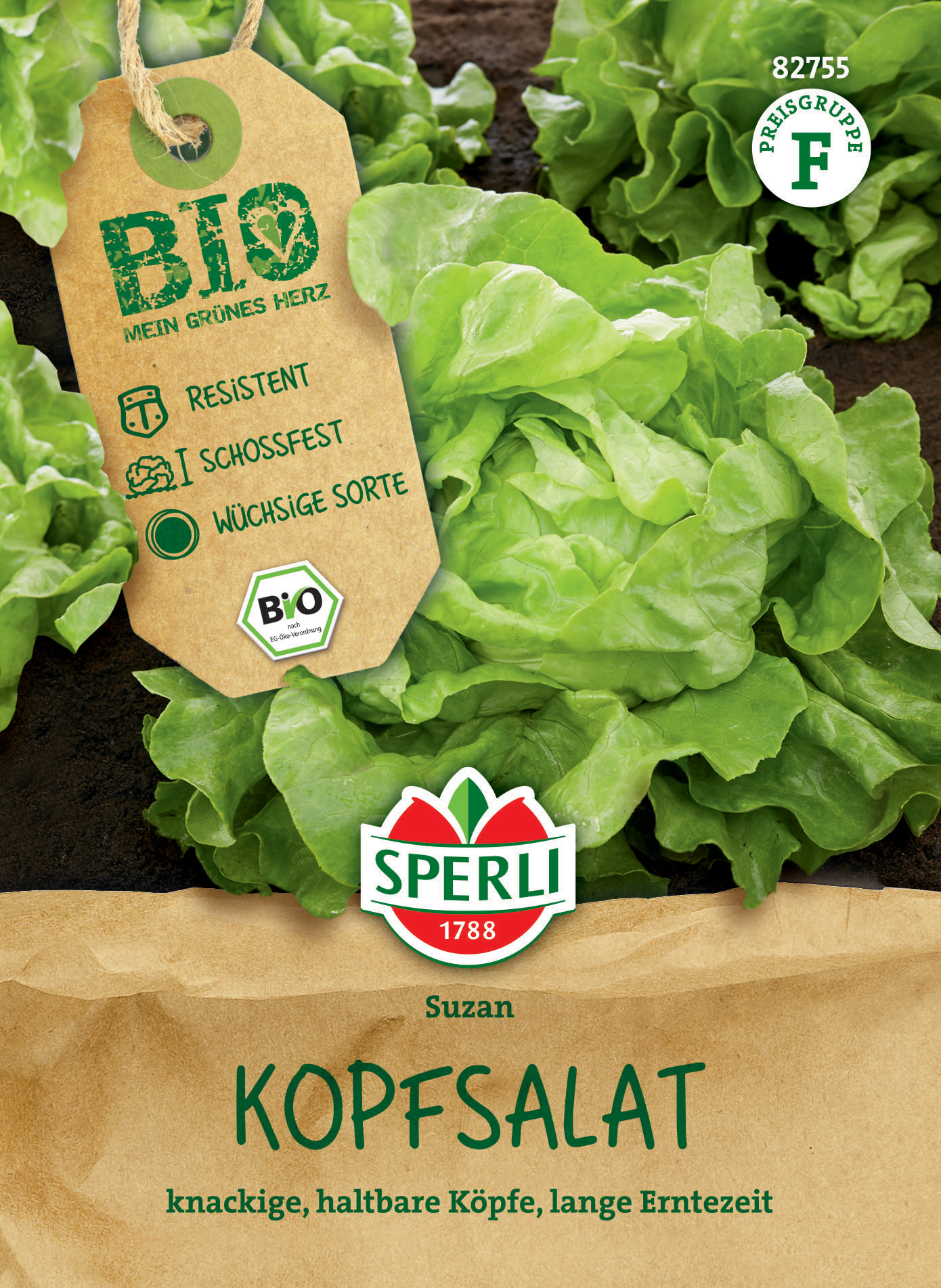 BIO Kopfsalat Suzan BIO Kopfsalat Suzan