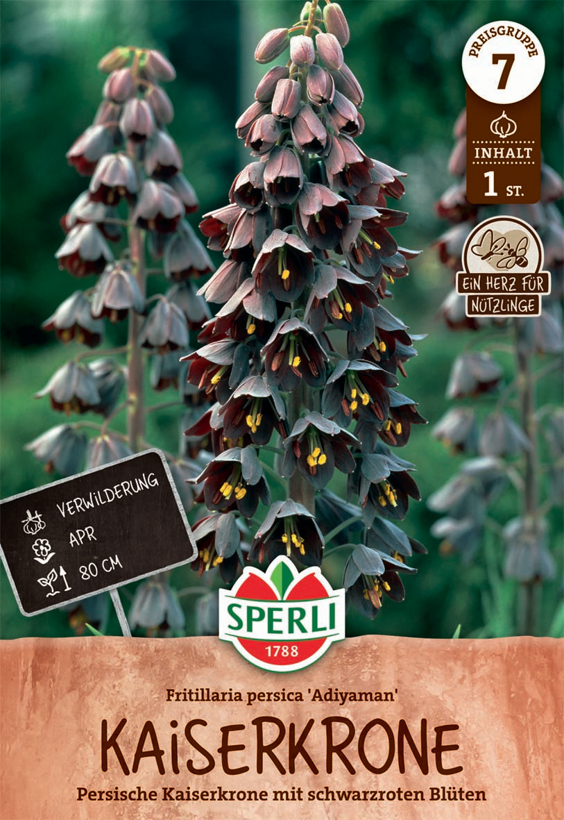 Persische Kaiserkrone Adiyaman Persische Kaiserkrone Adiyaman