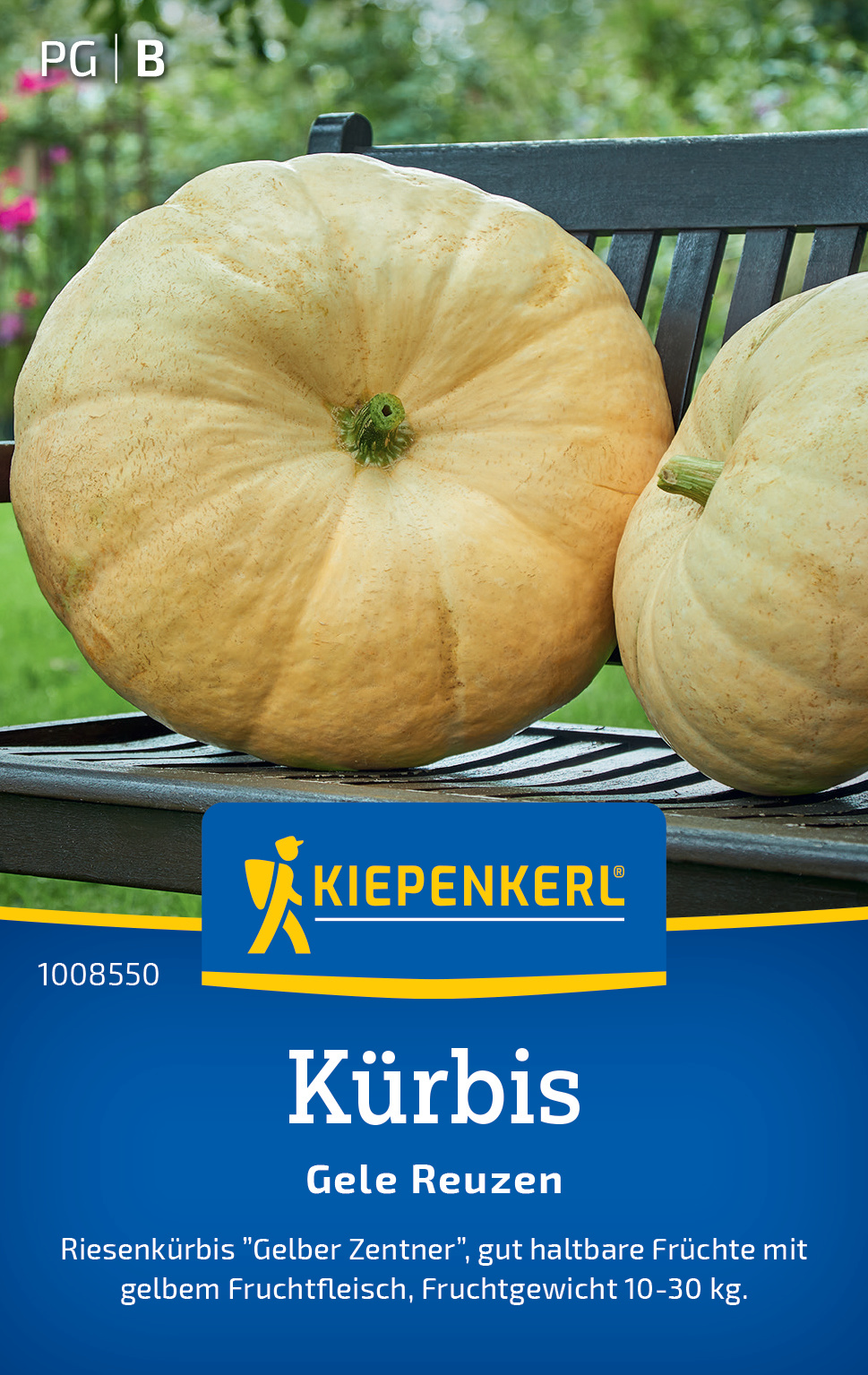 Kürbis Gele Reuzen Kürbis Gele Reuzen