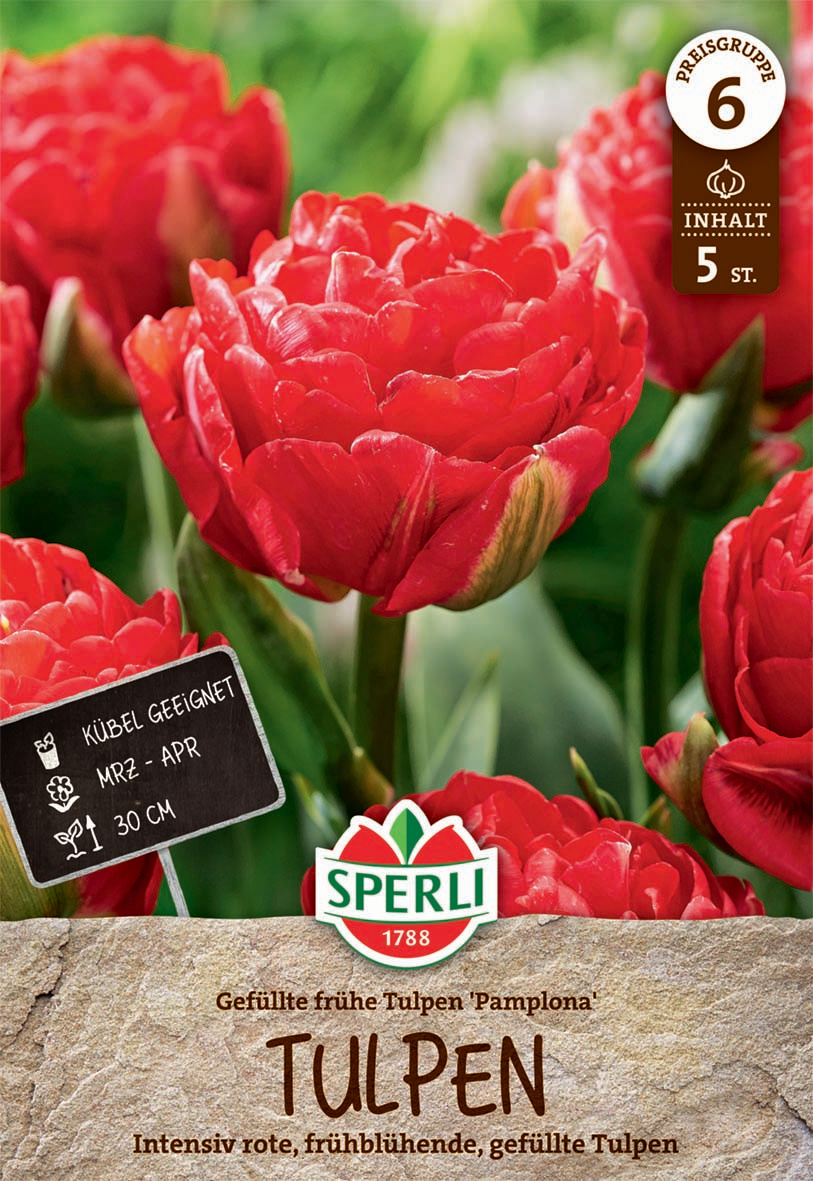 Gefüllte Frühe Tulpe Pamplona