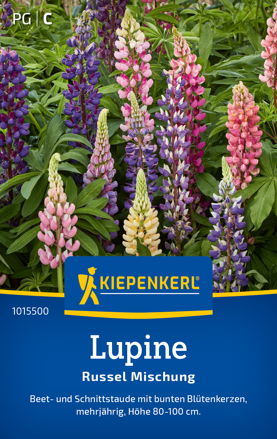 Lupine Russel Mischung
