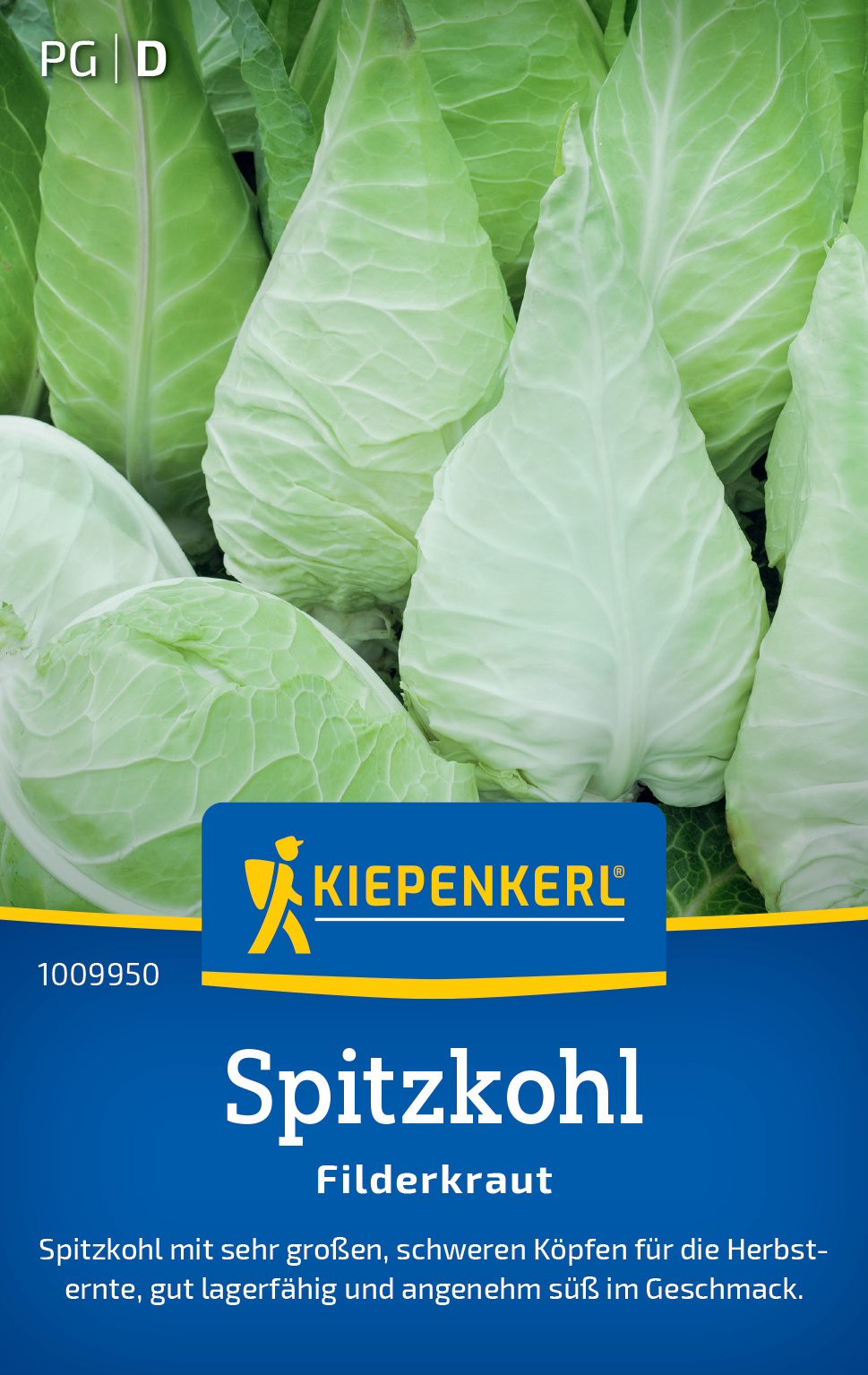 Spitzkohl Filderkraut