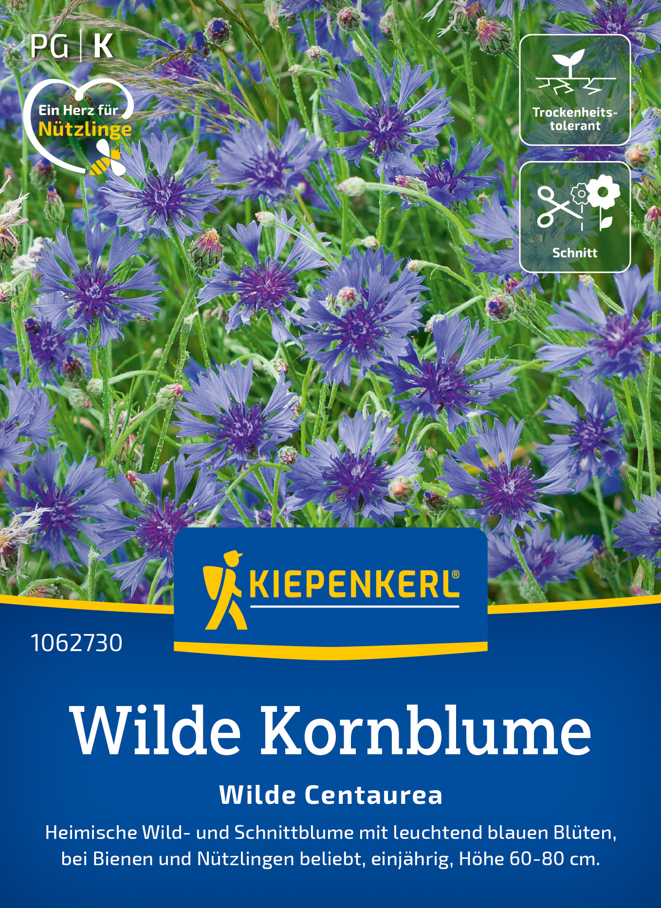 Wilde Kornblume Wilde Kornblume