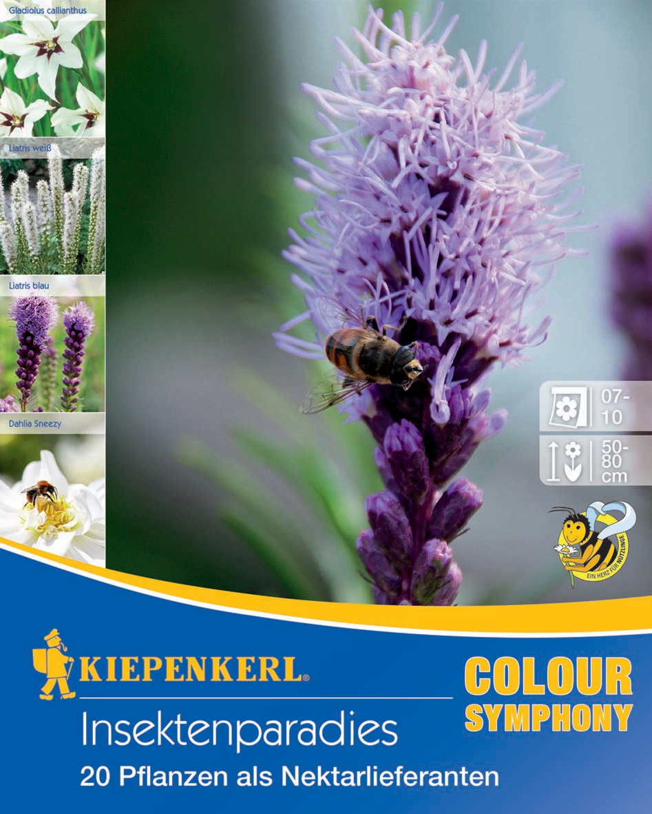 Insektenparadies