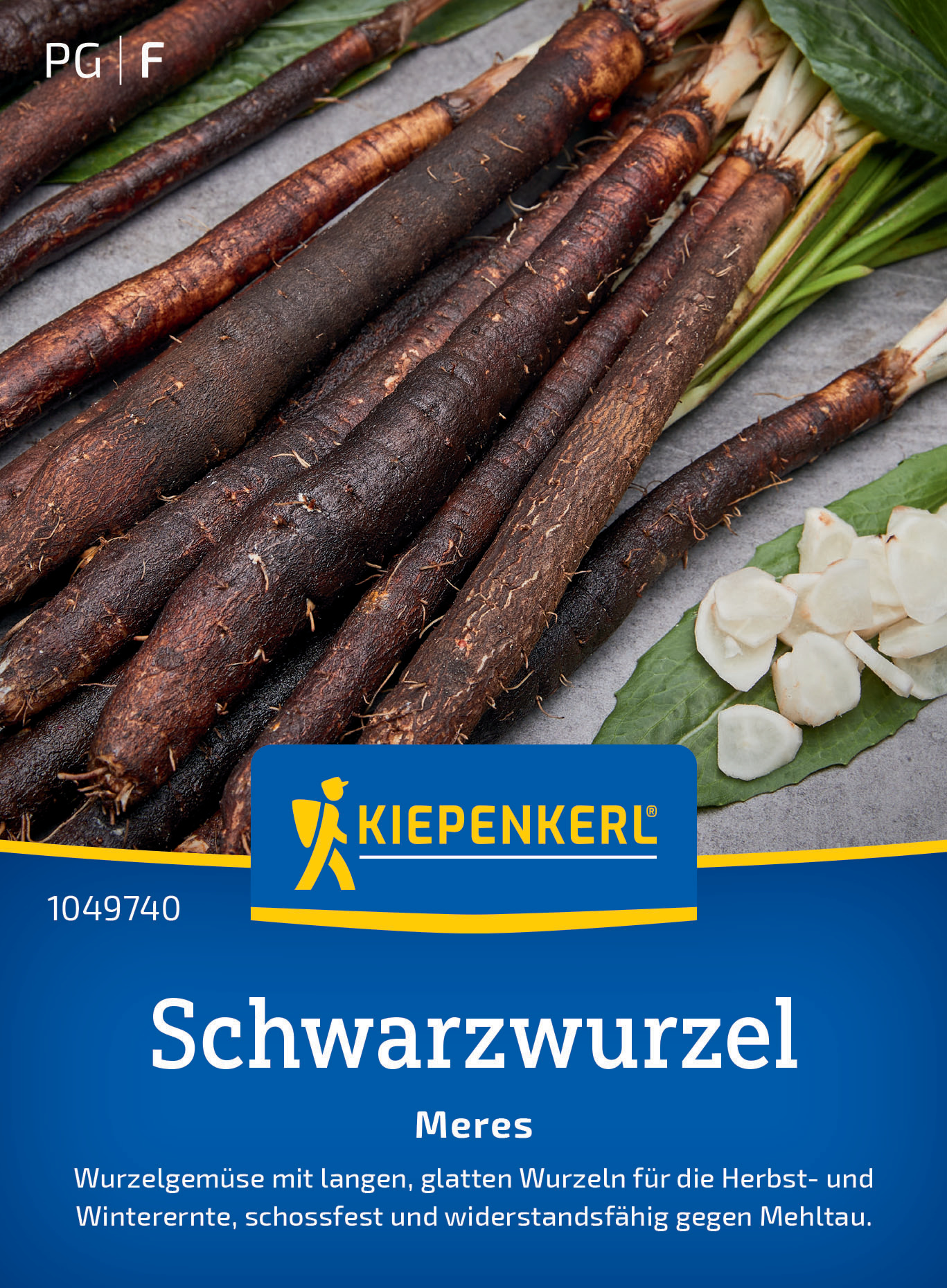 Schwarzwurzel Meres Schwarzwurzel Meres