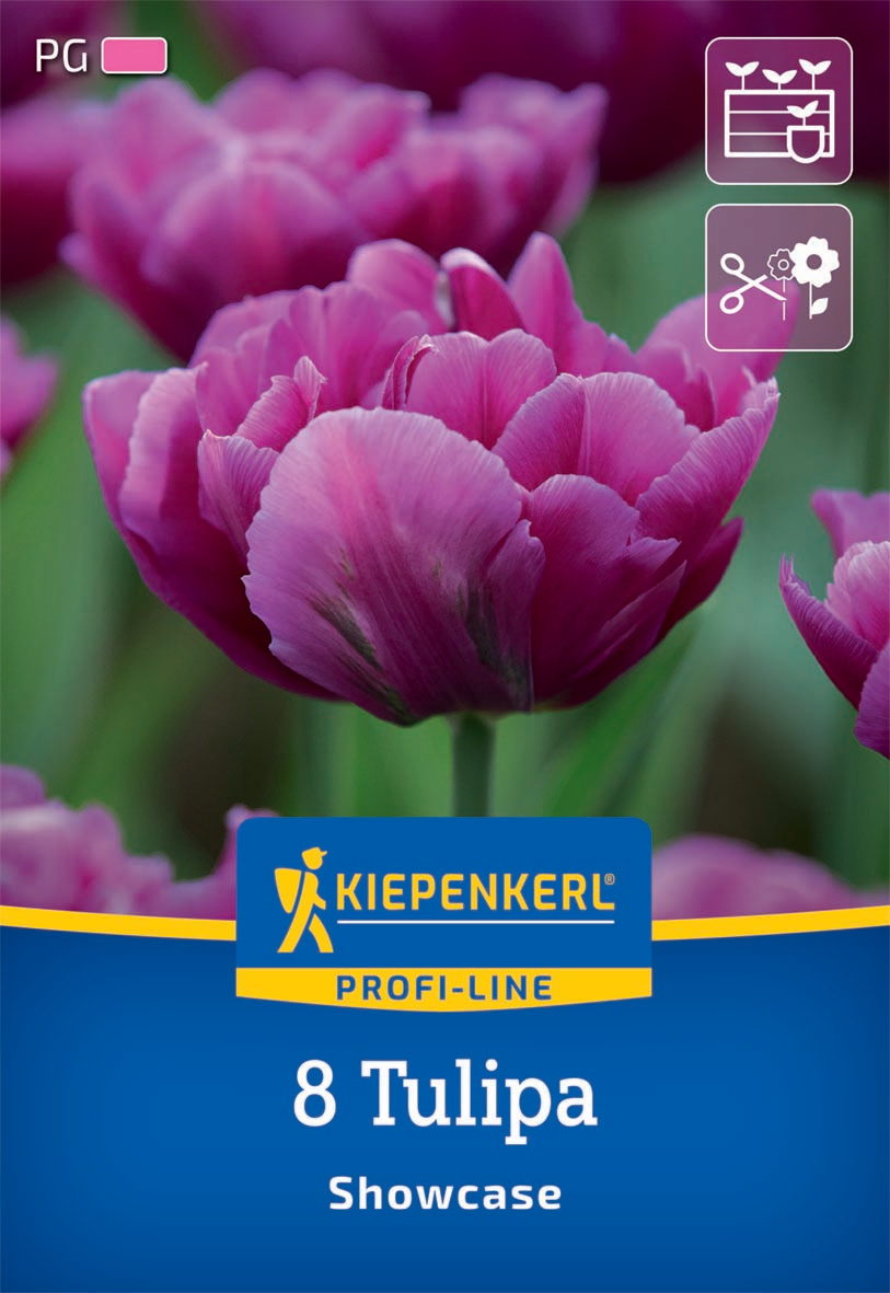 Profi-Line Gefüllte frühe Tulpe Showcase