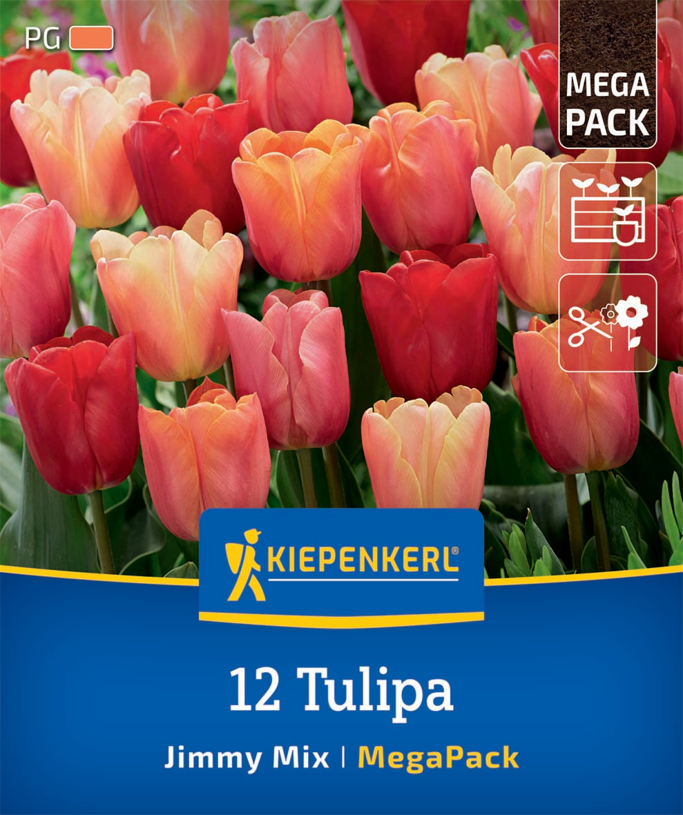 Mega-Pack Triumph-Tulpen Jimmy Mix