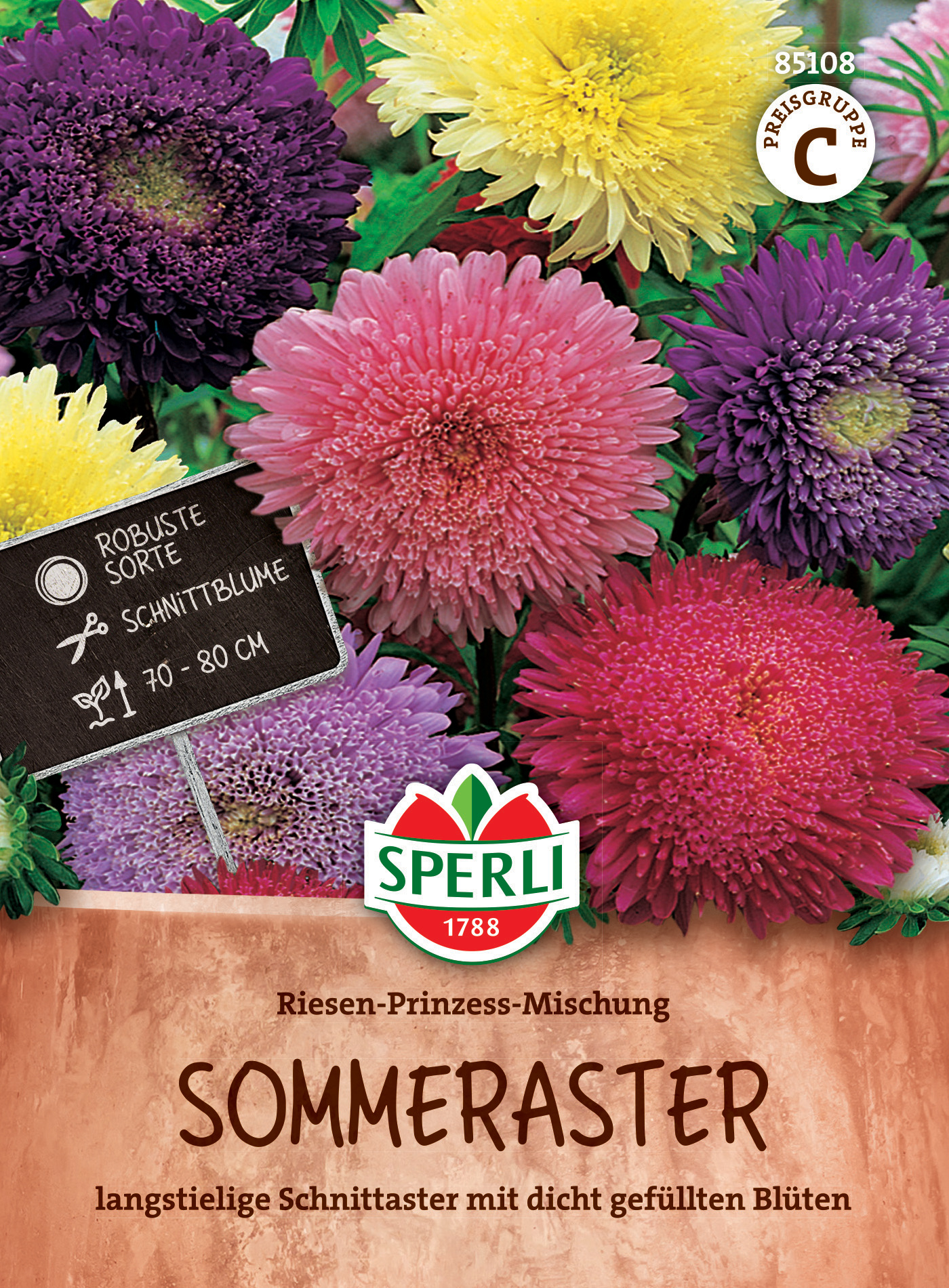 Sommeraster Riesen-Prinzess-Mischung Sommeraster Riesen-Prinzess-Mischung