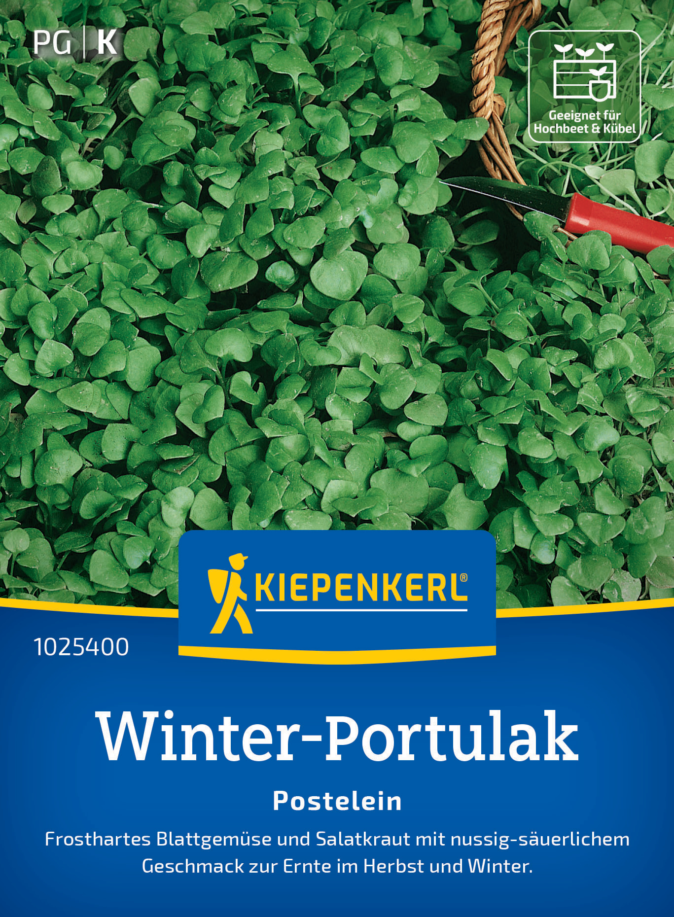 Portulak Winterportulak Portulak Winterportulak