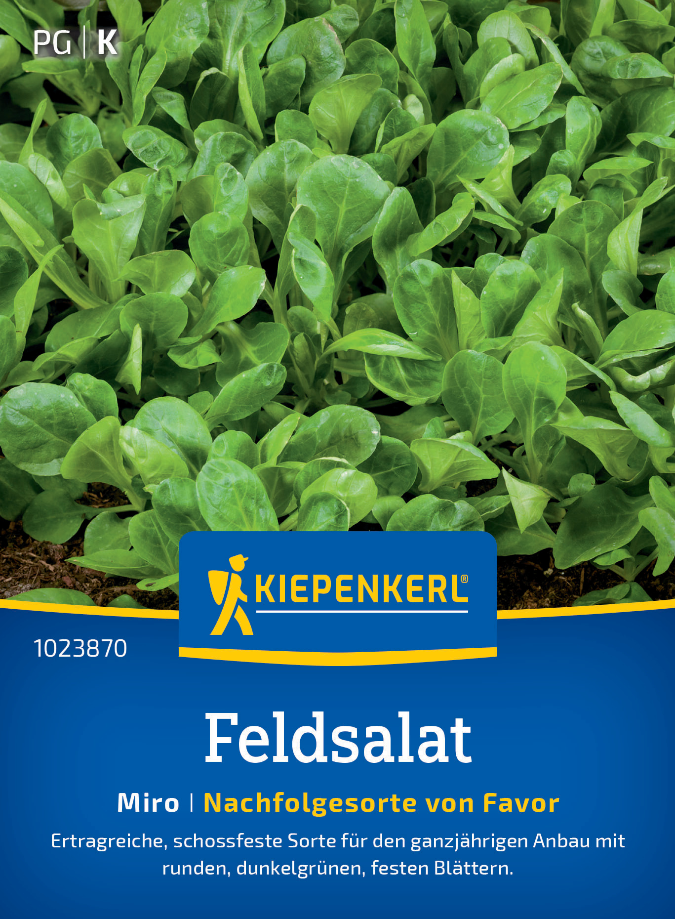Feldsalat Miro Feldsalat Miro