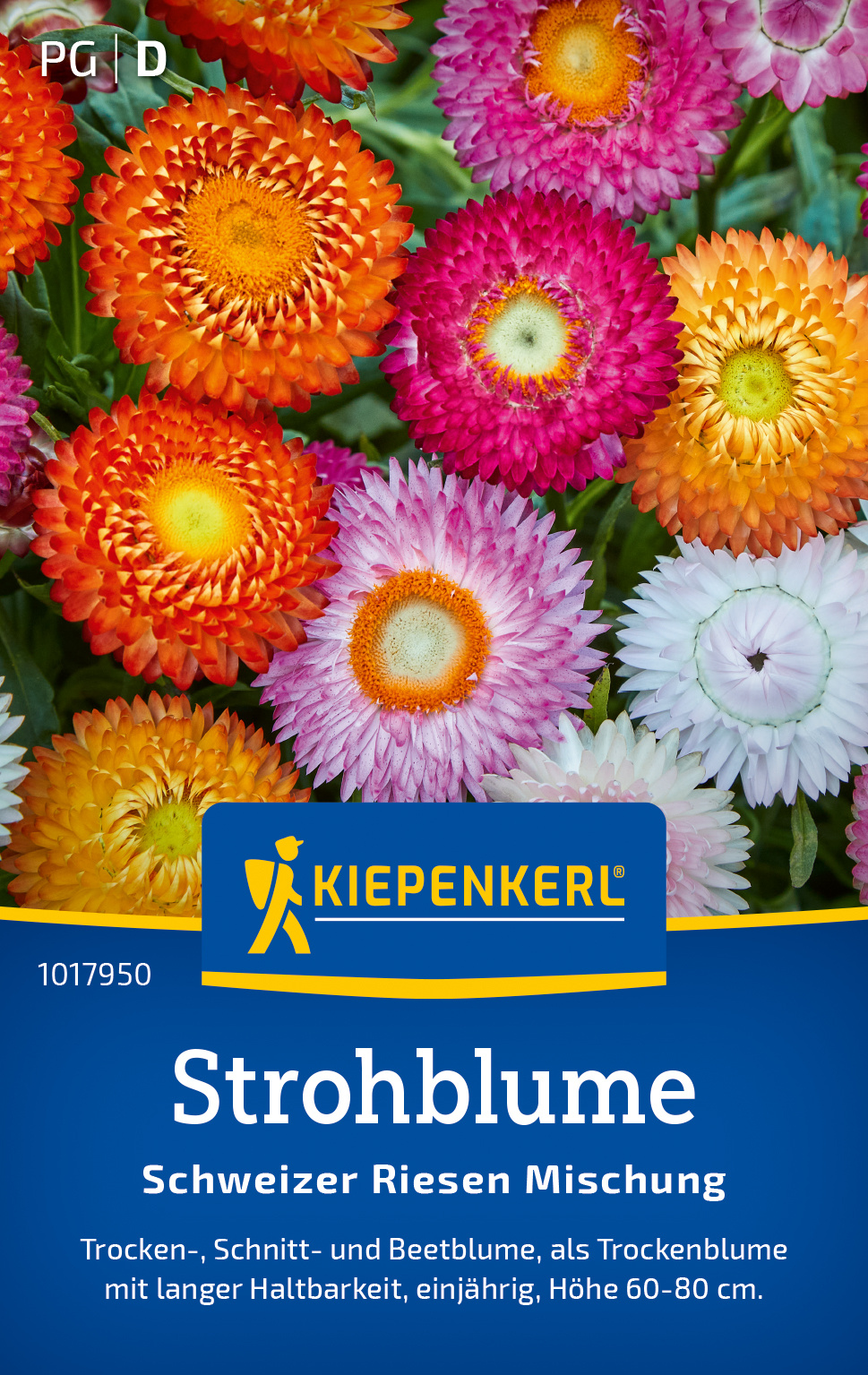 Strohblume Schweizer Riesen Mischung