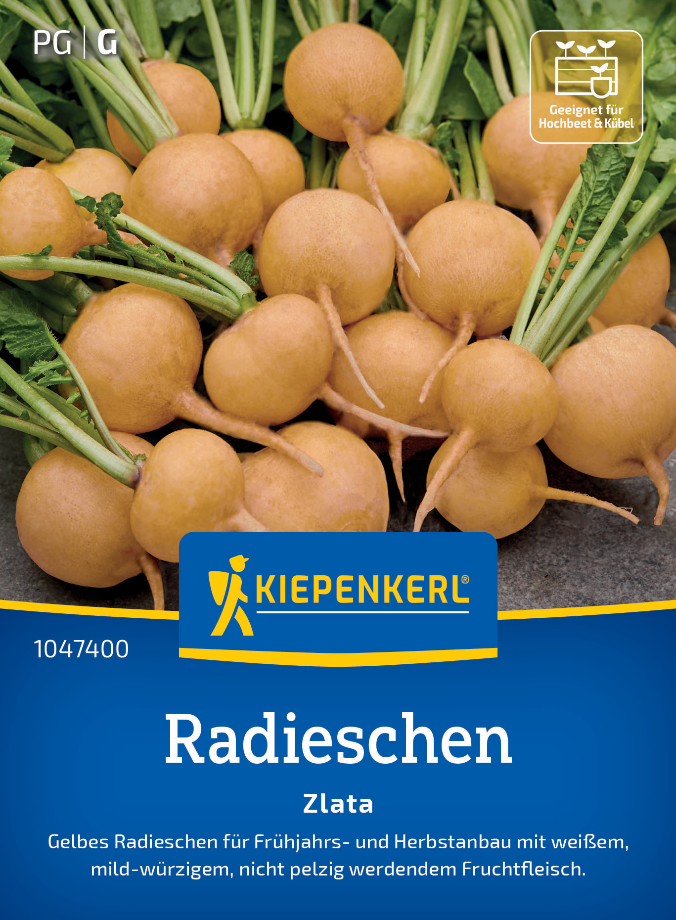 Radieschen Zlata