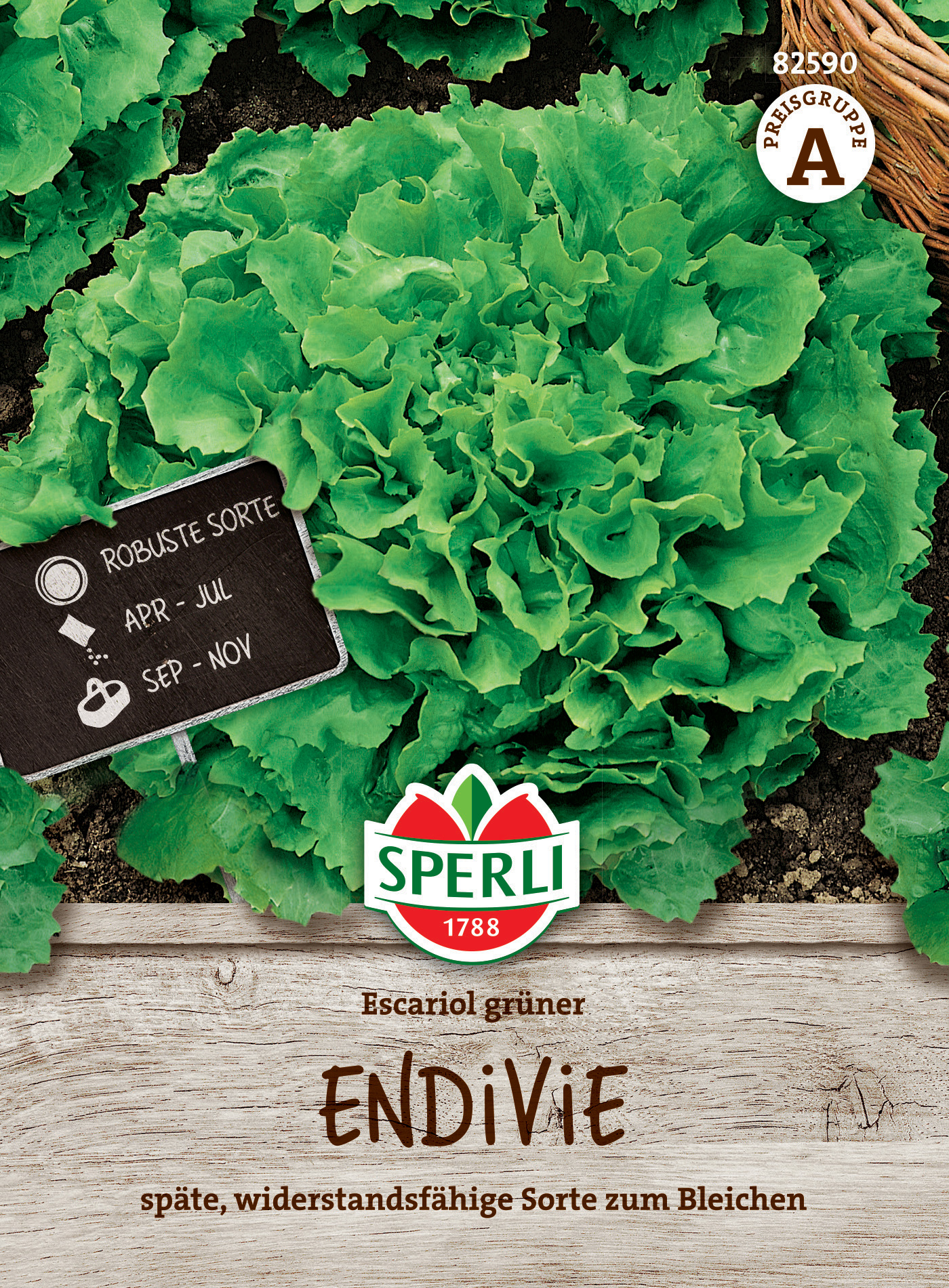 Endivie Escariol grüner Endivie Escariol grüner