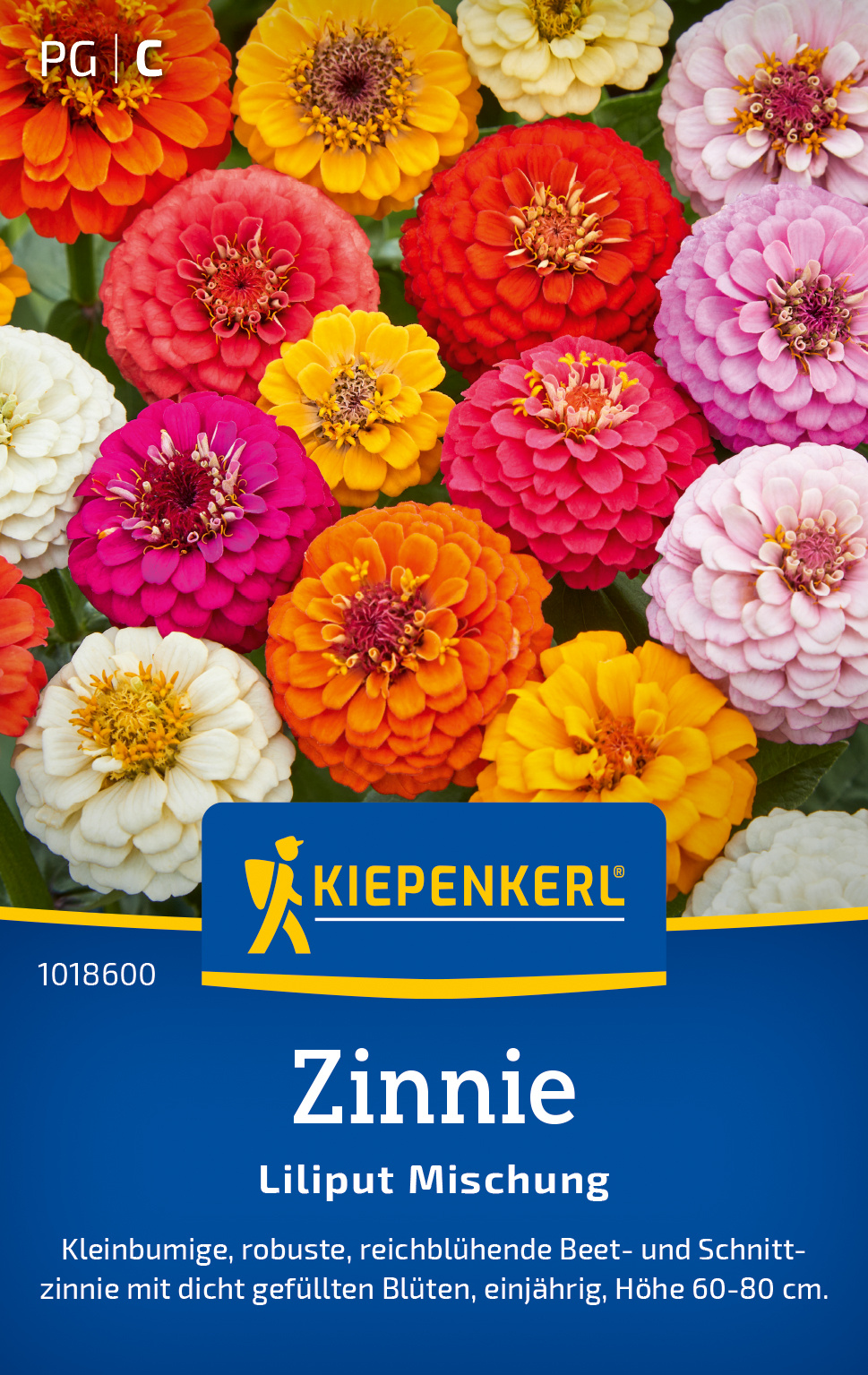Zinnie Liliput Mischung Zinnie Liliput Mischung