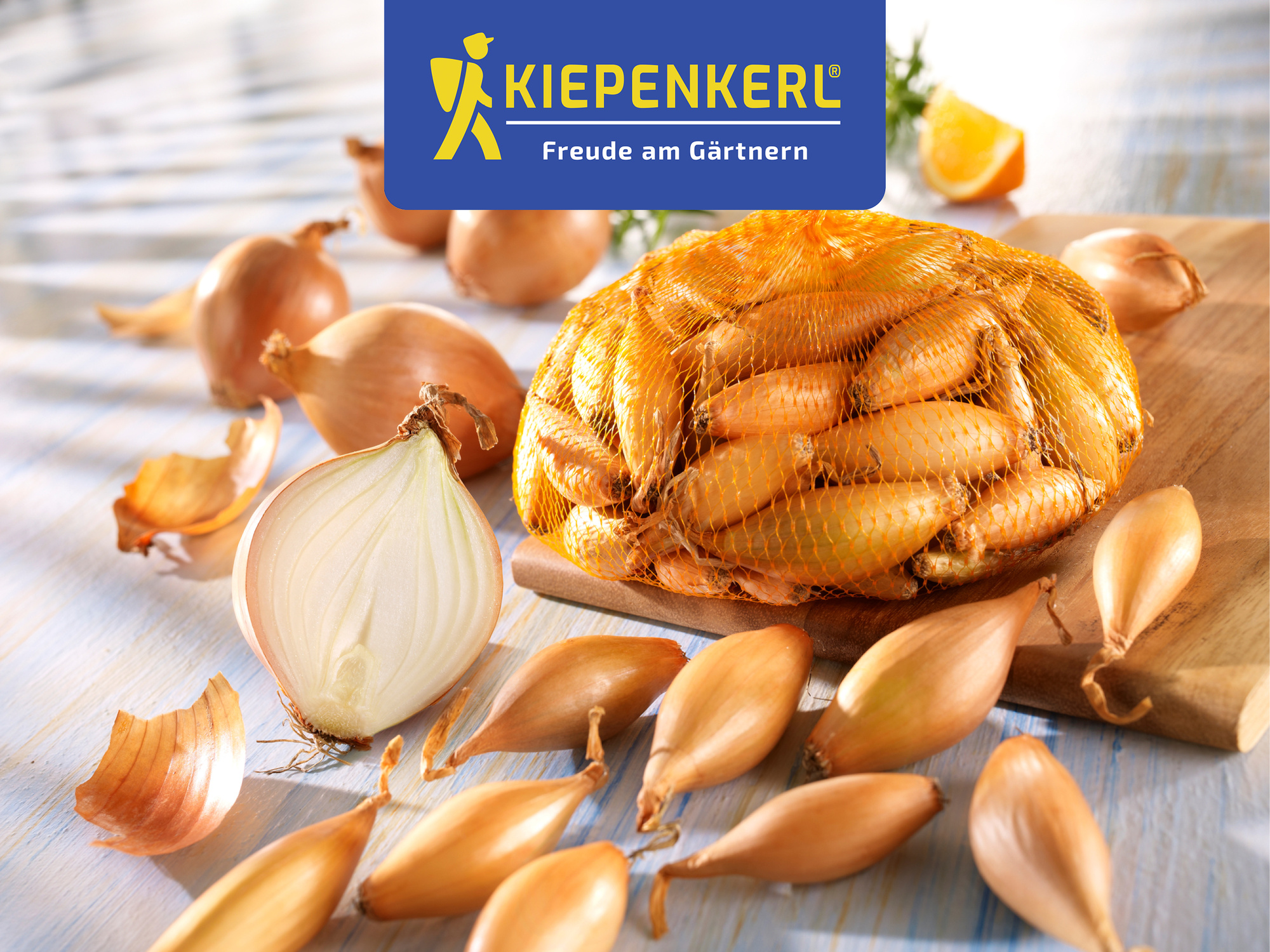 Steckzwiebel Birnenförmige, Gr.10/21, 250 g Steckzwiebel Birnenförmige, Gr.10/21, 250 g