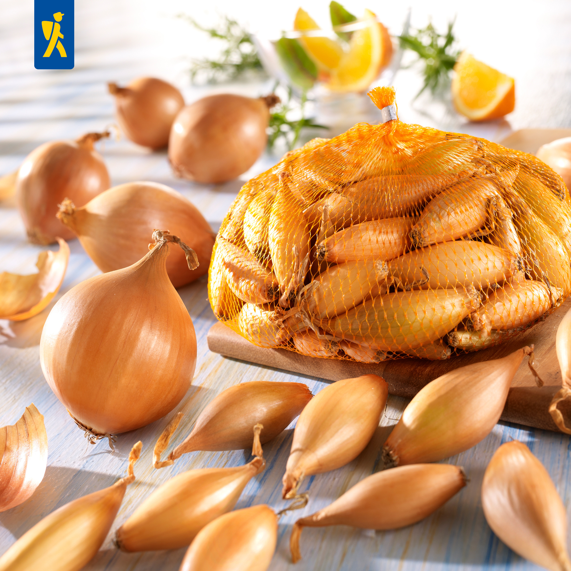 Steckzwiebel Birnenförmige, Gr.10/21, 250 g Steckzwiebel Birnenförmige, Gr.10/21, 250 g