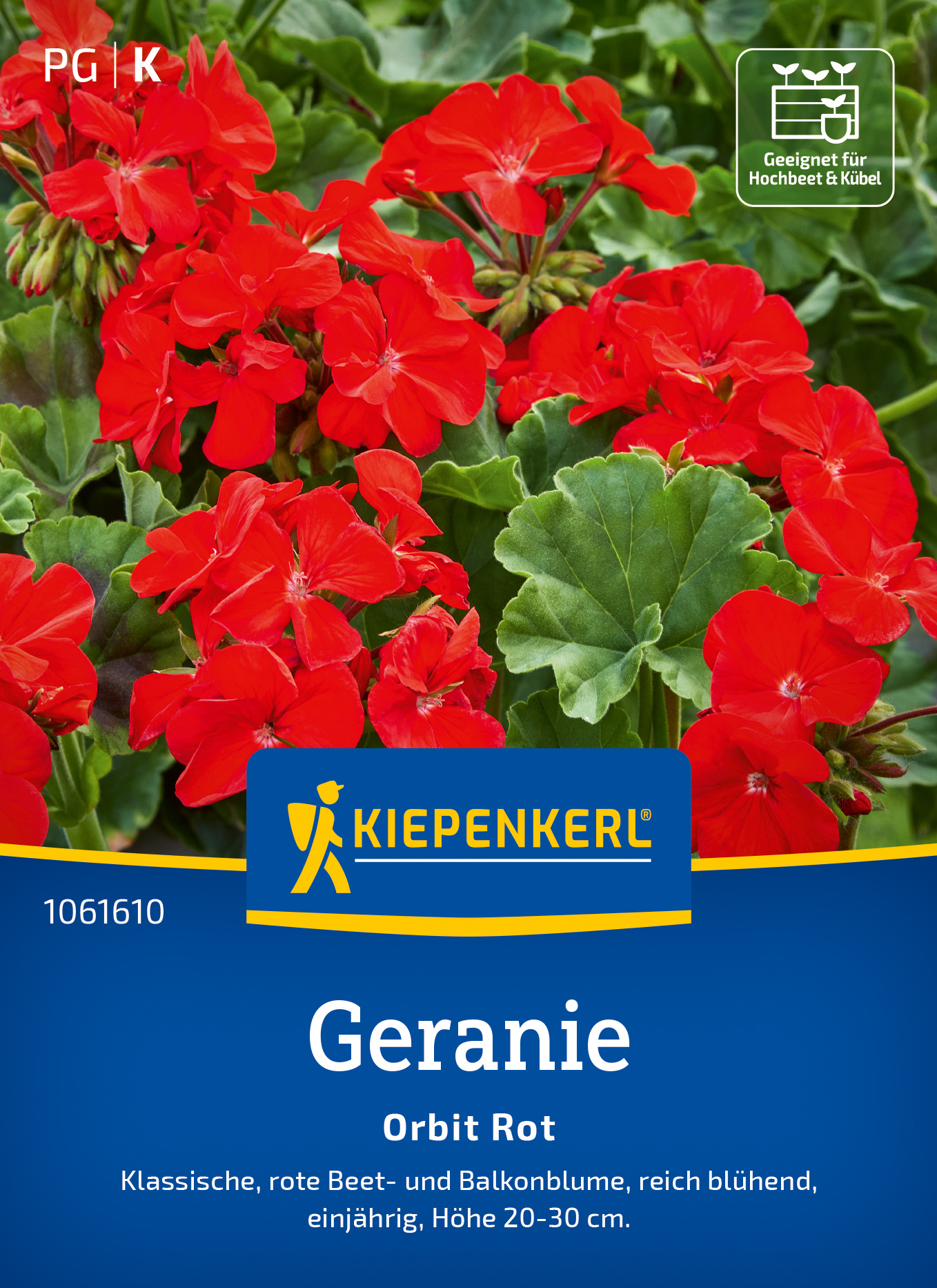 Geranie Orbit Rot, F1