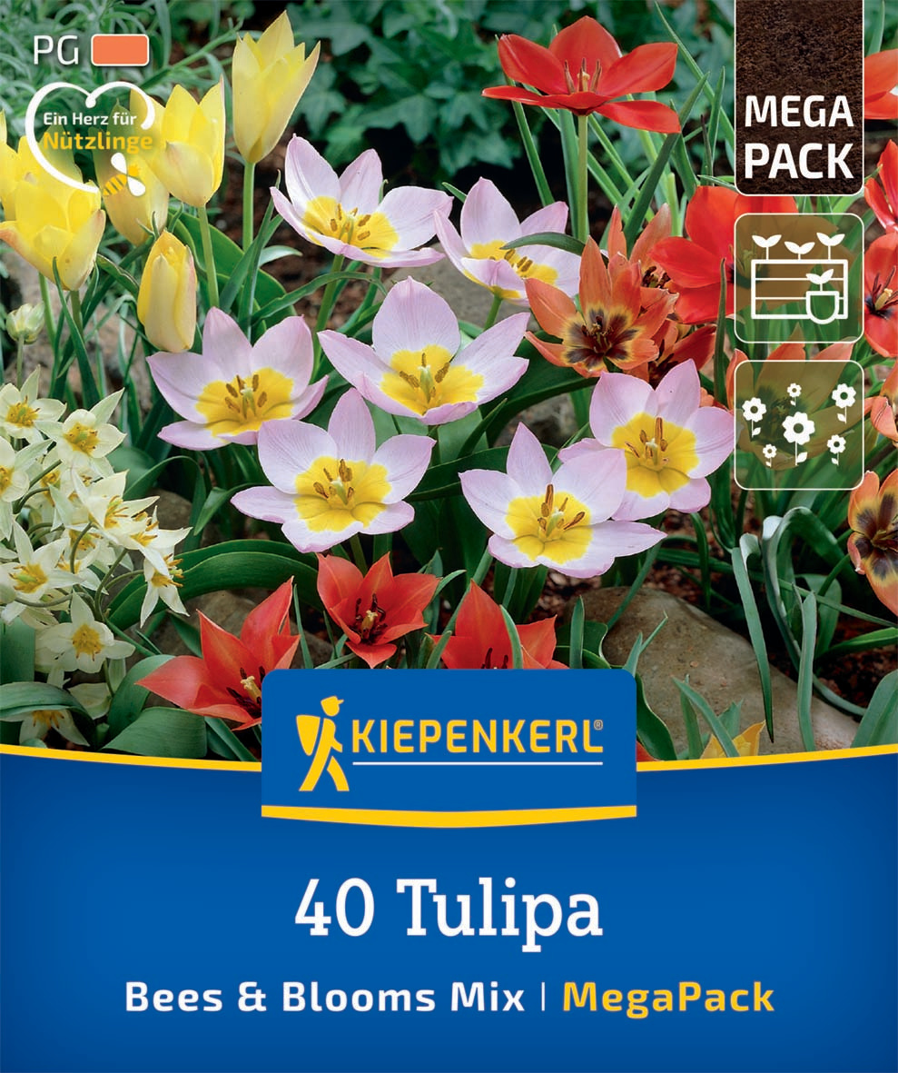 Mega Pack Bees & Blooms
