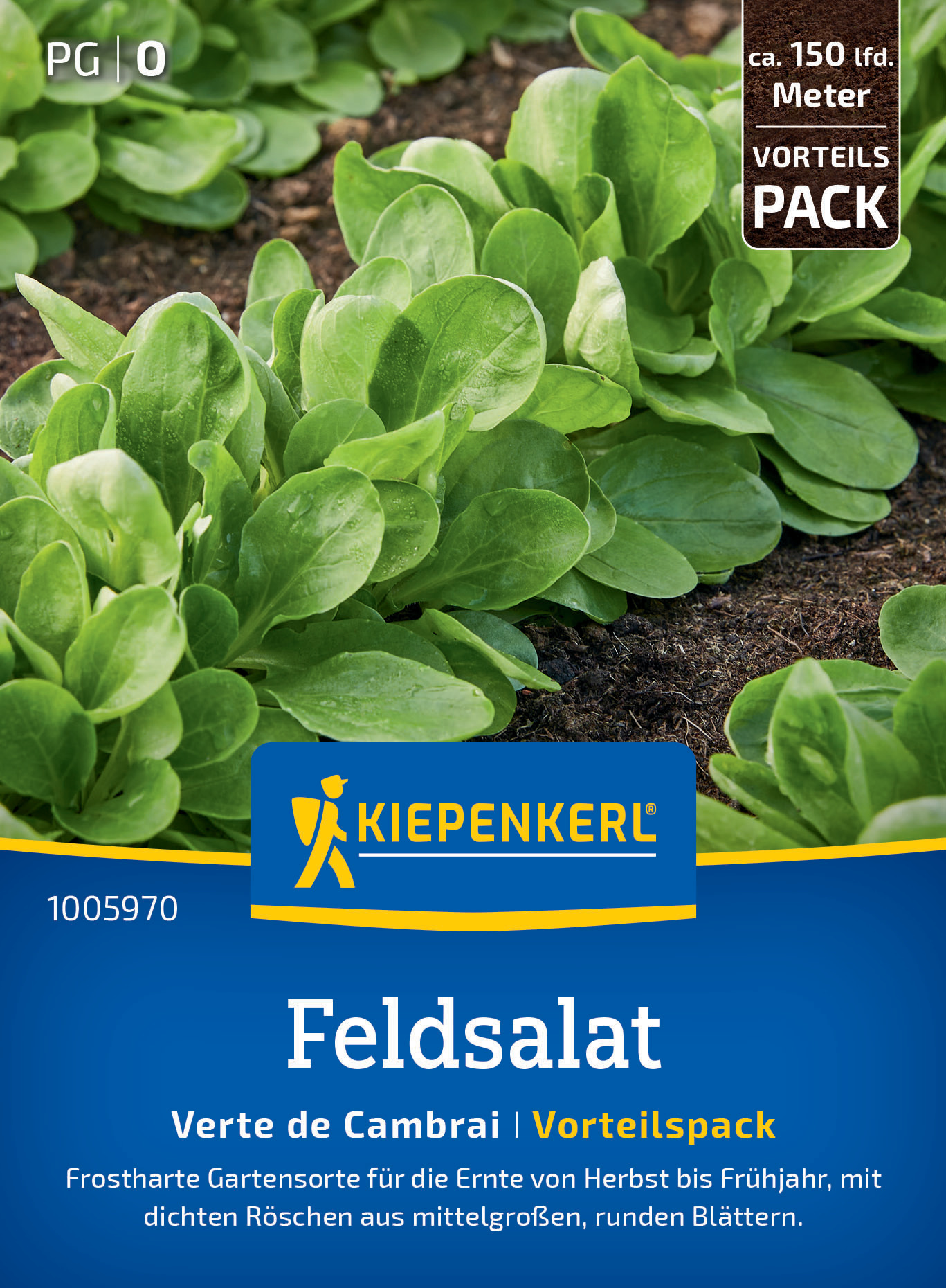 Feldsalat Verte de Cambrai, Vorteilspack