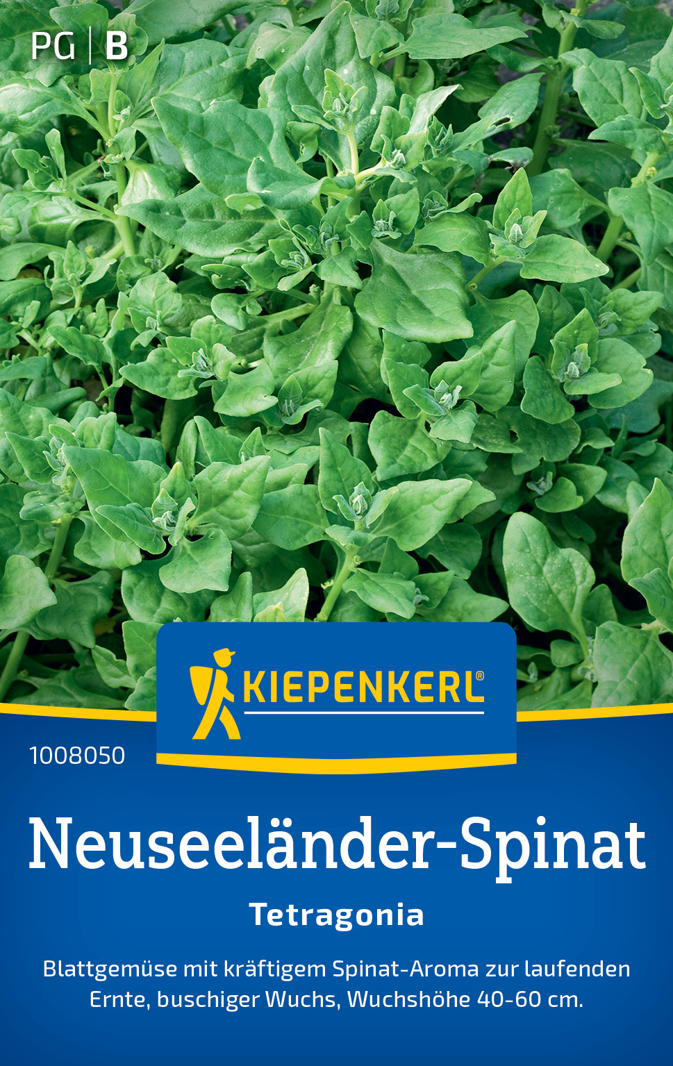 Neuseeländer-Spinat Tetragonia Neuseeländer-Spinat Tetragonia