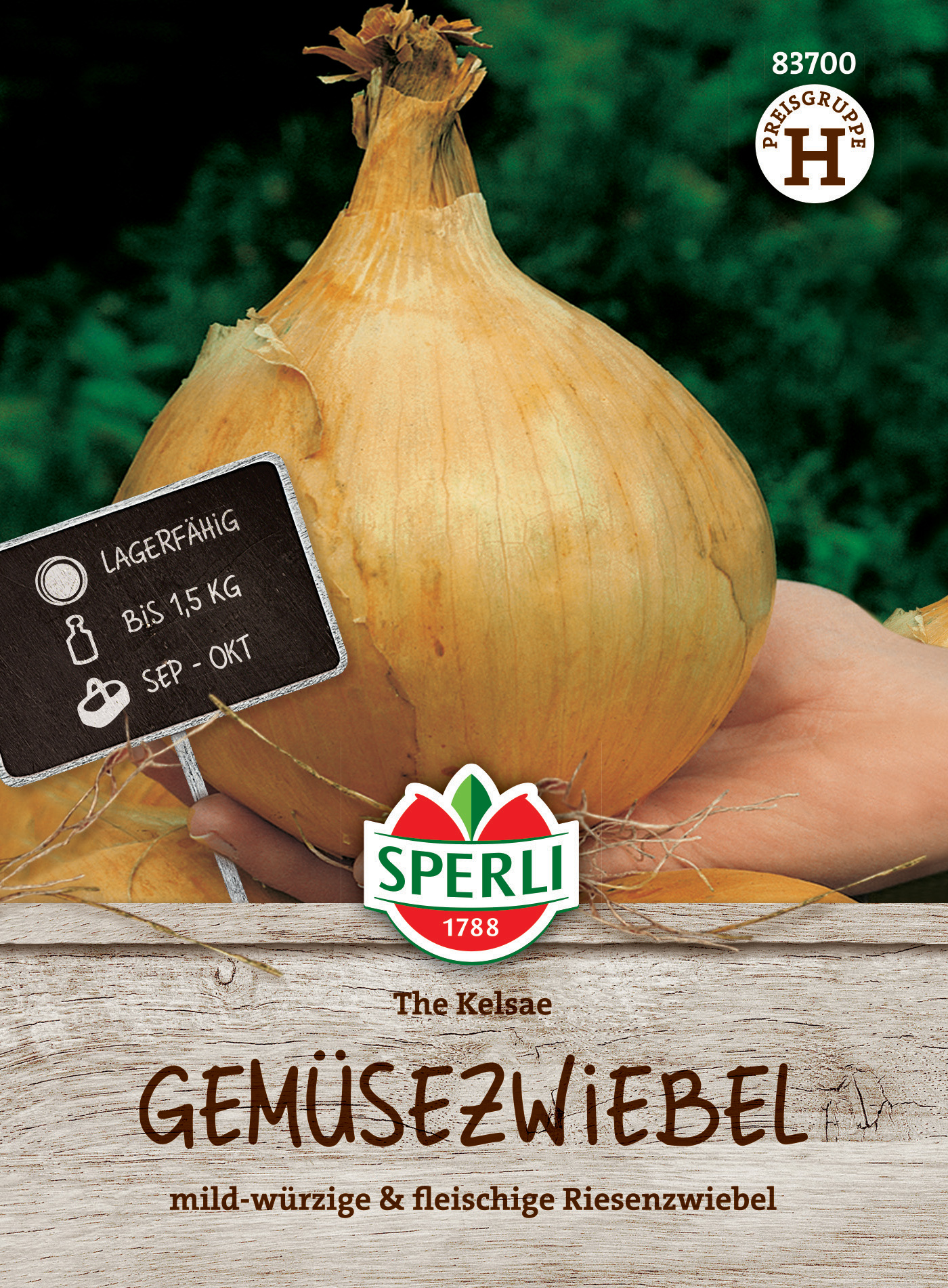 Gemüsezwiebel The Kelsae Gemüsezwiebel The Kelsae