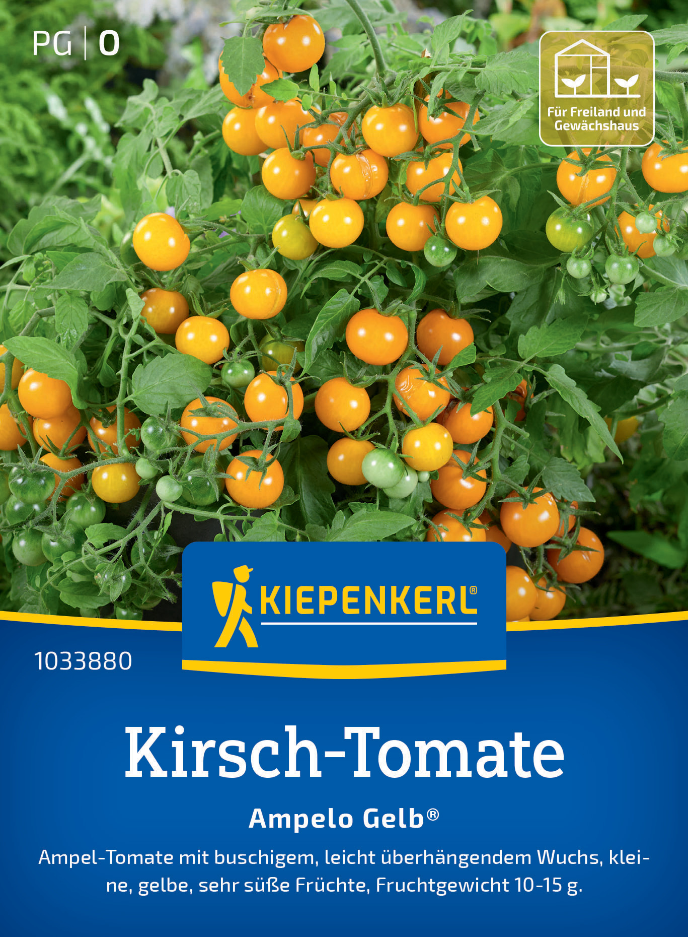 Kirsch-Tomate Ampelo Gelb®, F1