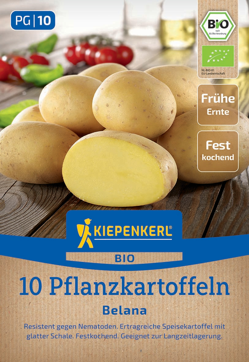 BIO Pflanzkartoffel Belana, 10 St BIO Pflanzkartoffel Belana, 10 St