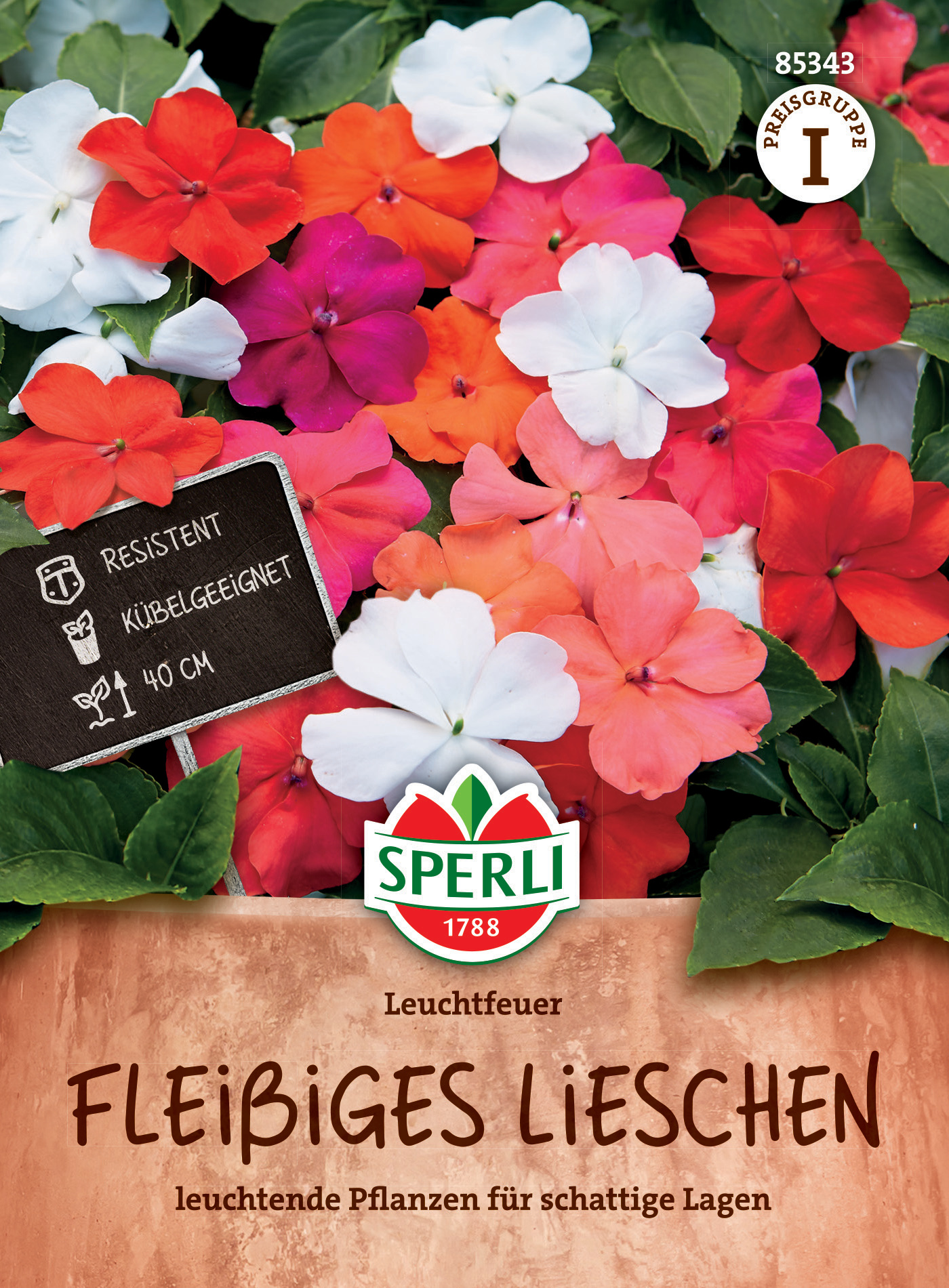 Fleißiges Lieschen Leuchtfeuer Fleißiges Lieschen Leuchtfeuer