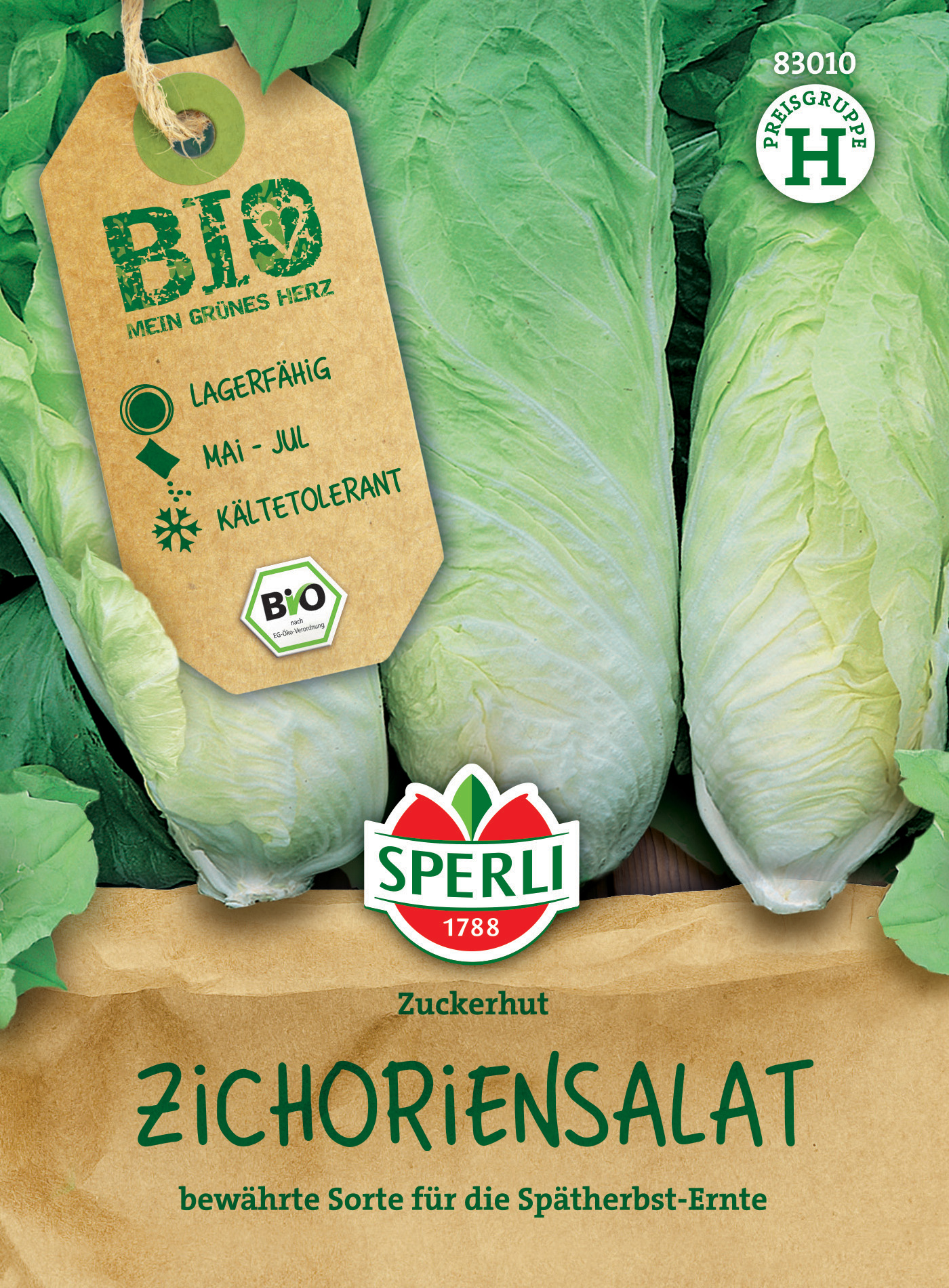 BIO Zichoriensalat Zuckerhut BIO Zichoriensalat Zuckerhut