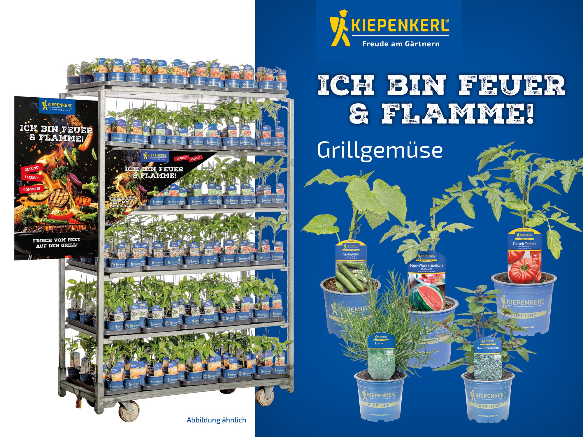 2026 - Frühjahr - ProfiLine Pflanzen - Ich bin Feuer & Flamme - Grillgemüse