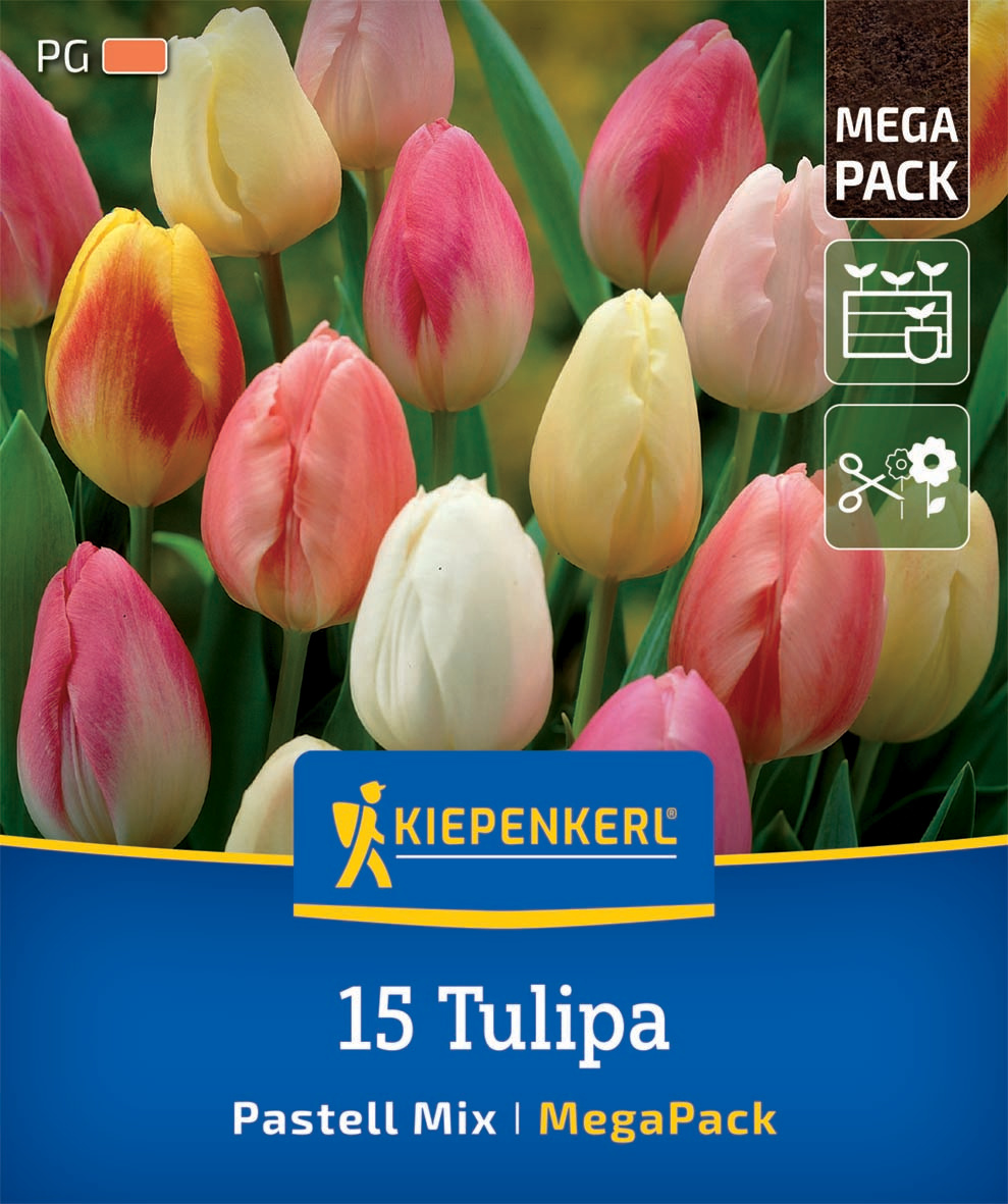 Mega-Pack Triumph-Tulpen Pastell-Mix