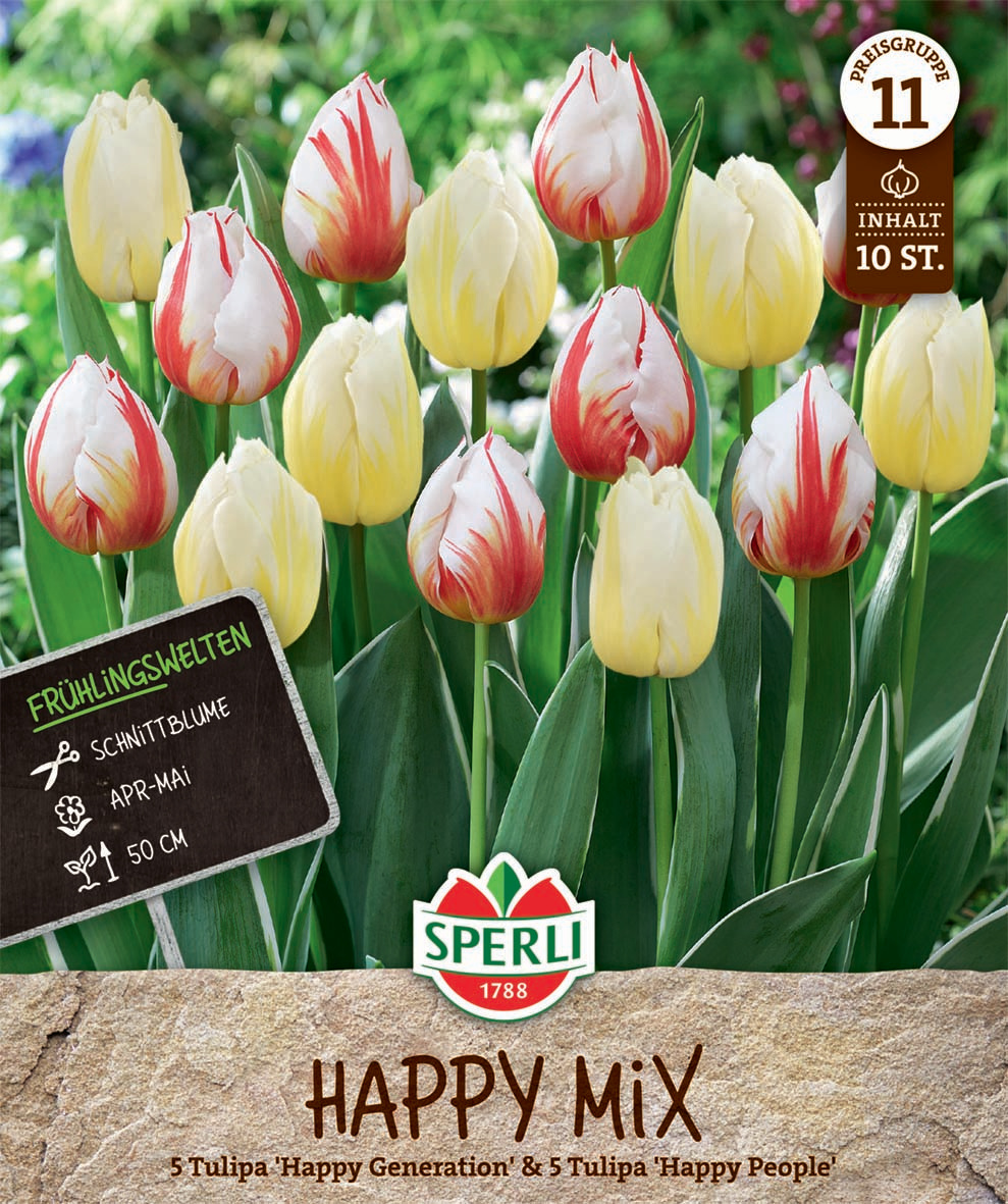 Frühlingsgarten Happy Mix