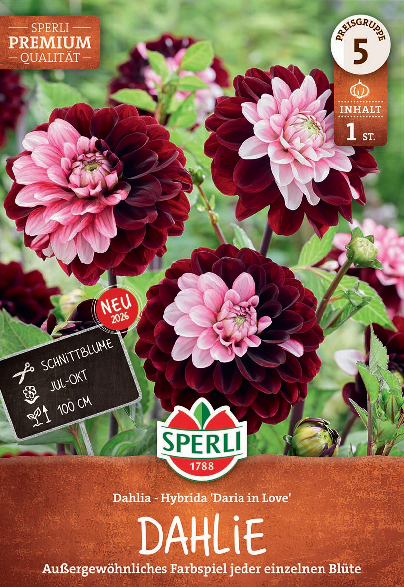 Dahlie Daria in Love