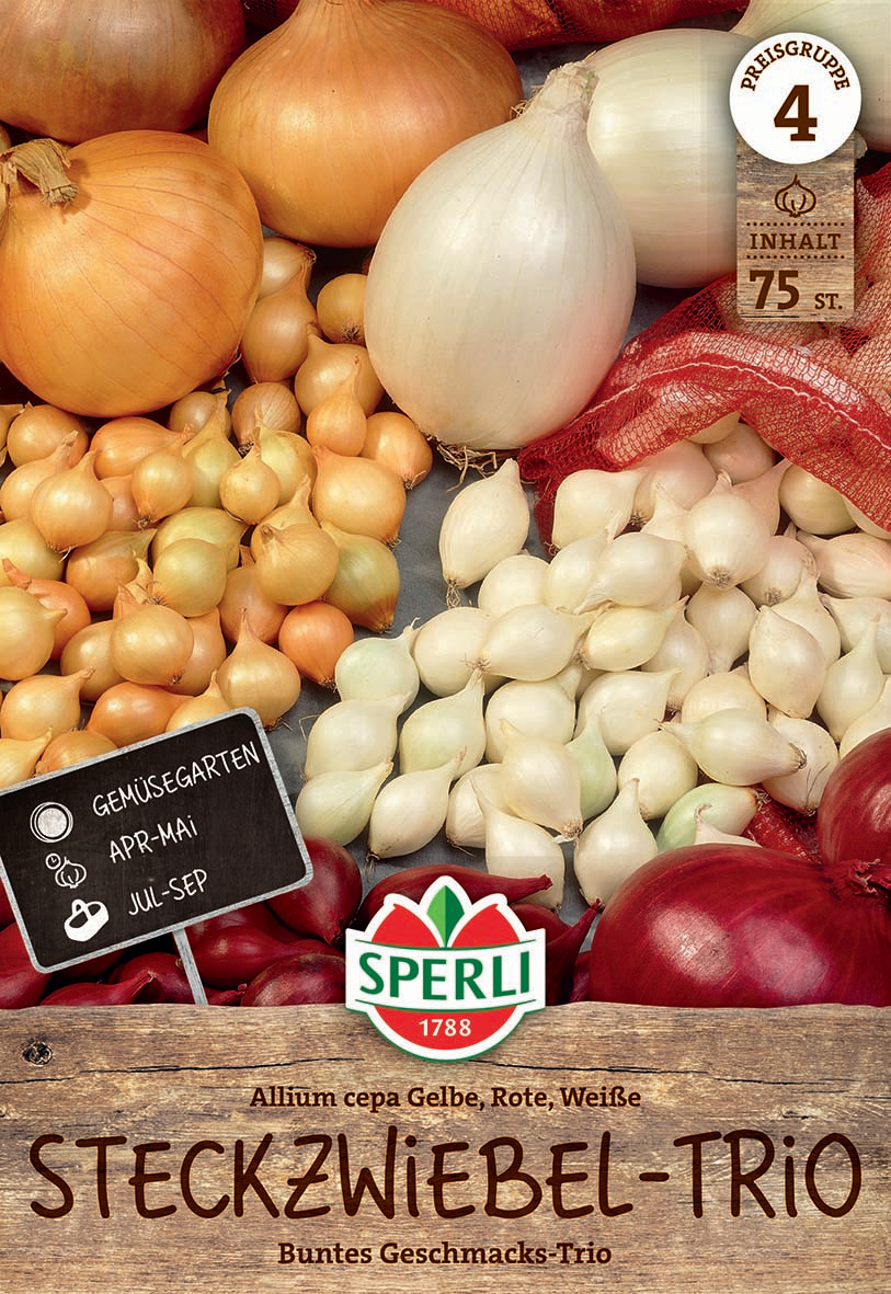 Steckzwiebel-Trio Steckzwiebel-Trio