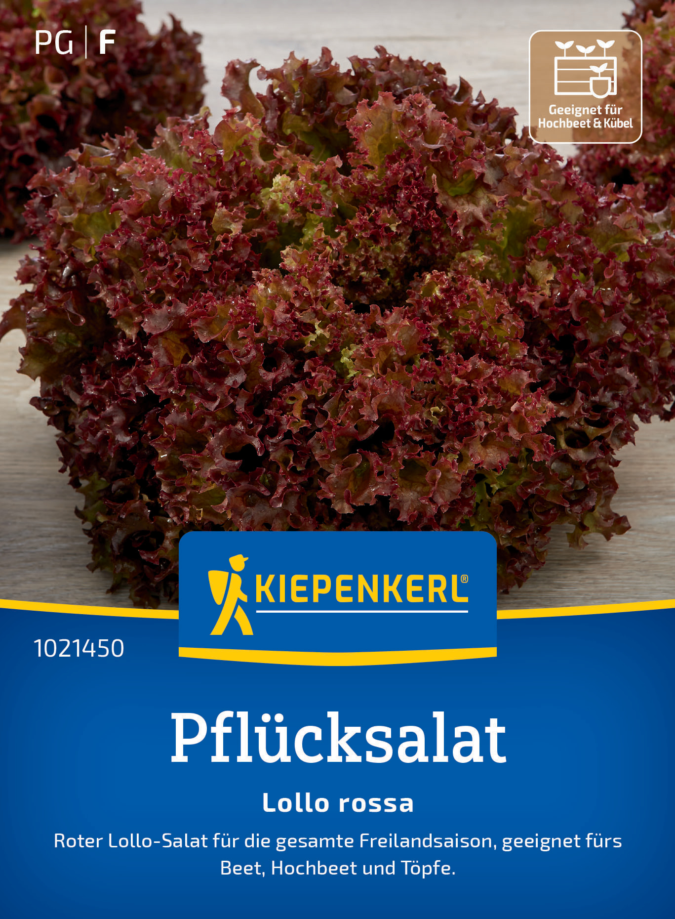 Pflücksalat Lollo rossa Pflücksalat Lollo rossa