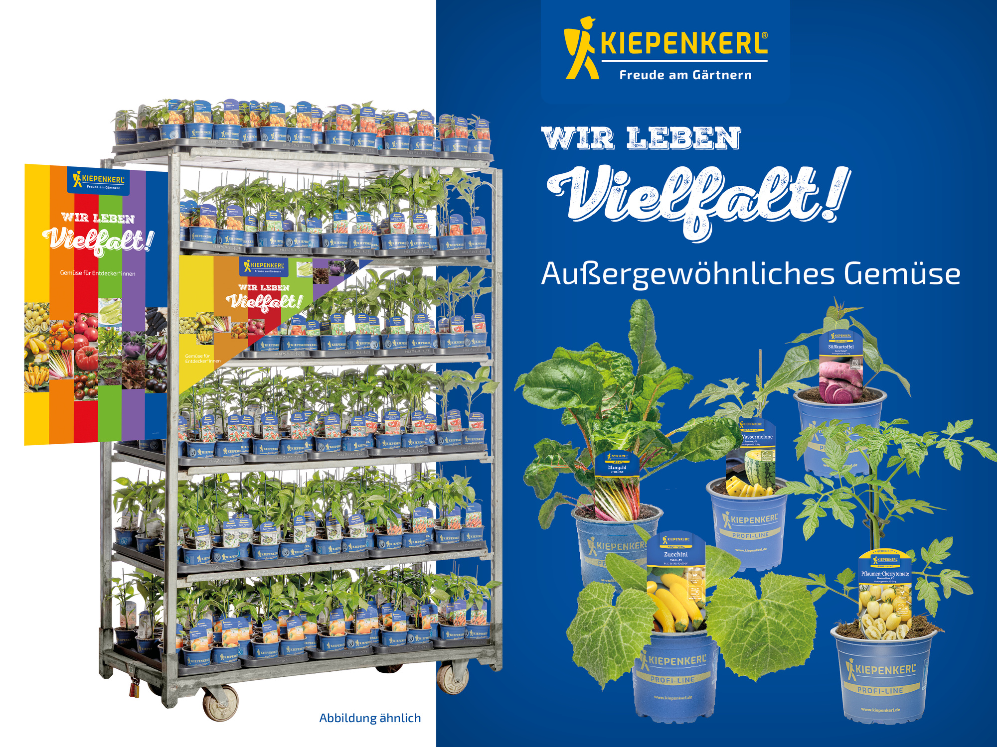 2026 - Frühjahr - ProfiLine Pflanzen - Wir leben Vielfalt - Außergewöhnliches Gemüse