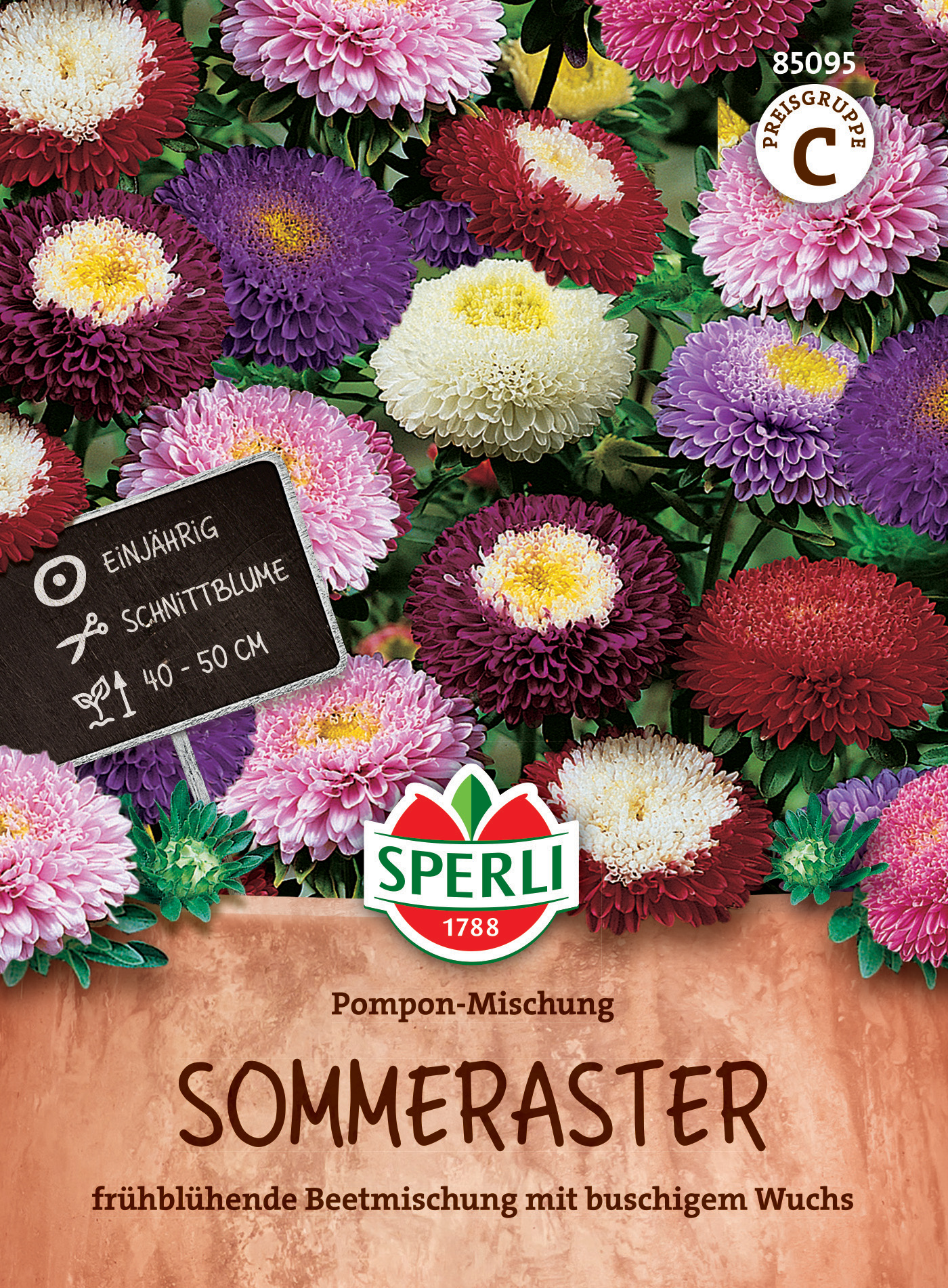 Sommeraster Pompon-Mischung Sommeraster Pompon-Mischung